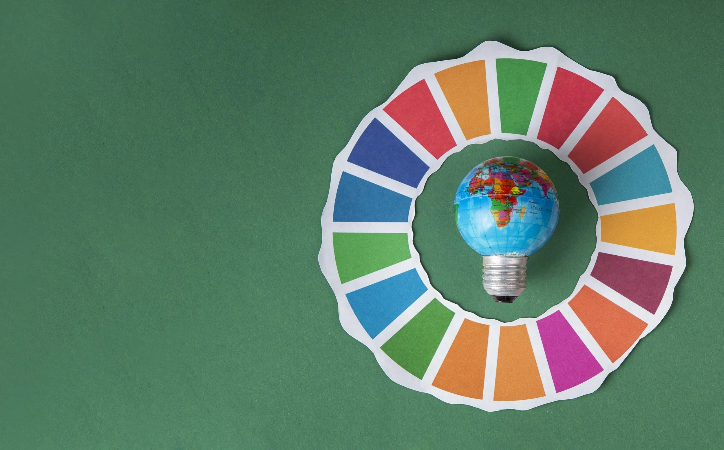 sustainable development goals wheel and bulb image