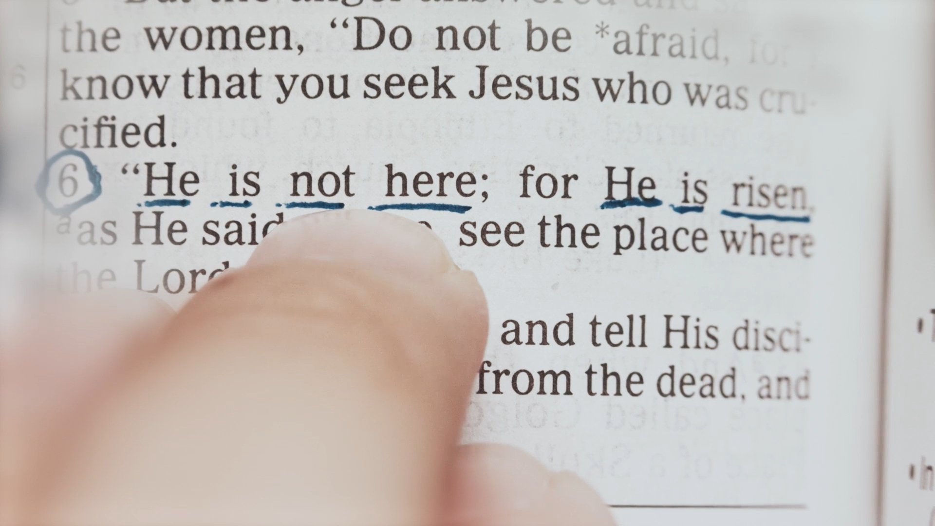 Related Video Item Thumbnail