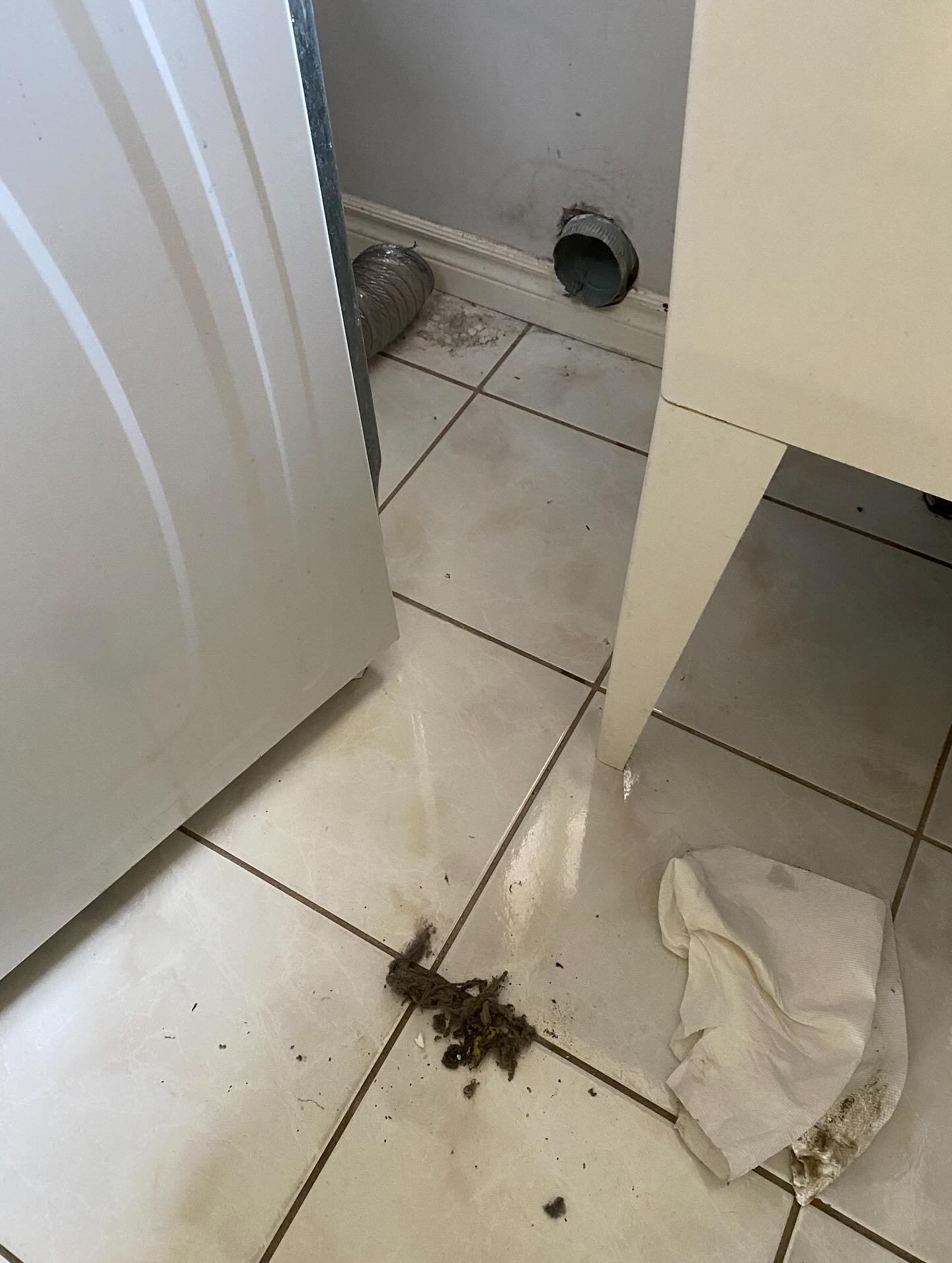 🧼✨ Behind the Scenes of a Real Deep Clean! ✨🧼

This is what you don&rsquo;t see until you pull back the machines! 😱 Dryer lint, dust buildup, and grime behind the laundry area can easily be overlooked&mdash;but not by us! 💪

At YK Luxe Living Cle