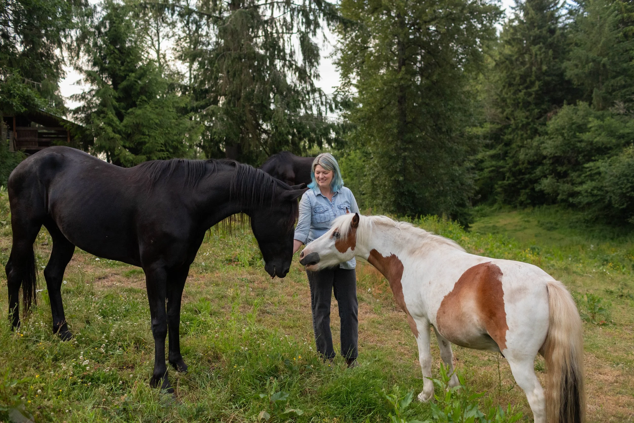 A woman with blue hair standing outdoors with two horses, one black and one white with brown patches, touching noses in a green, wooded area.
