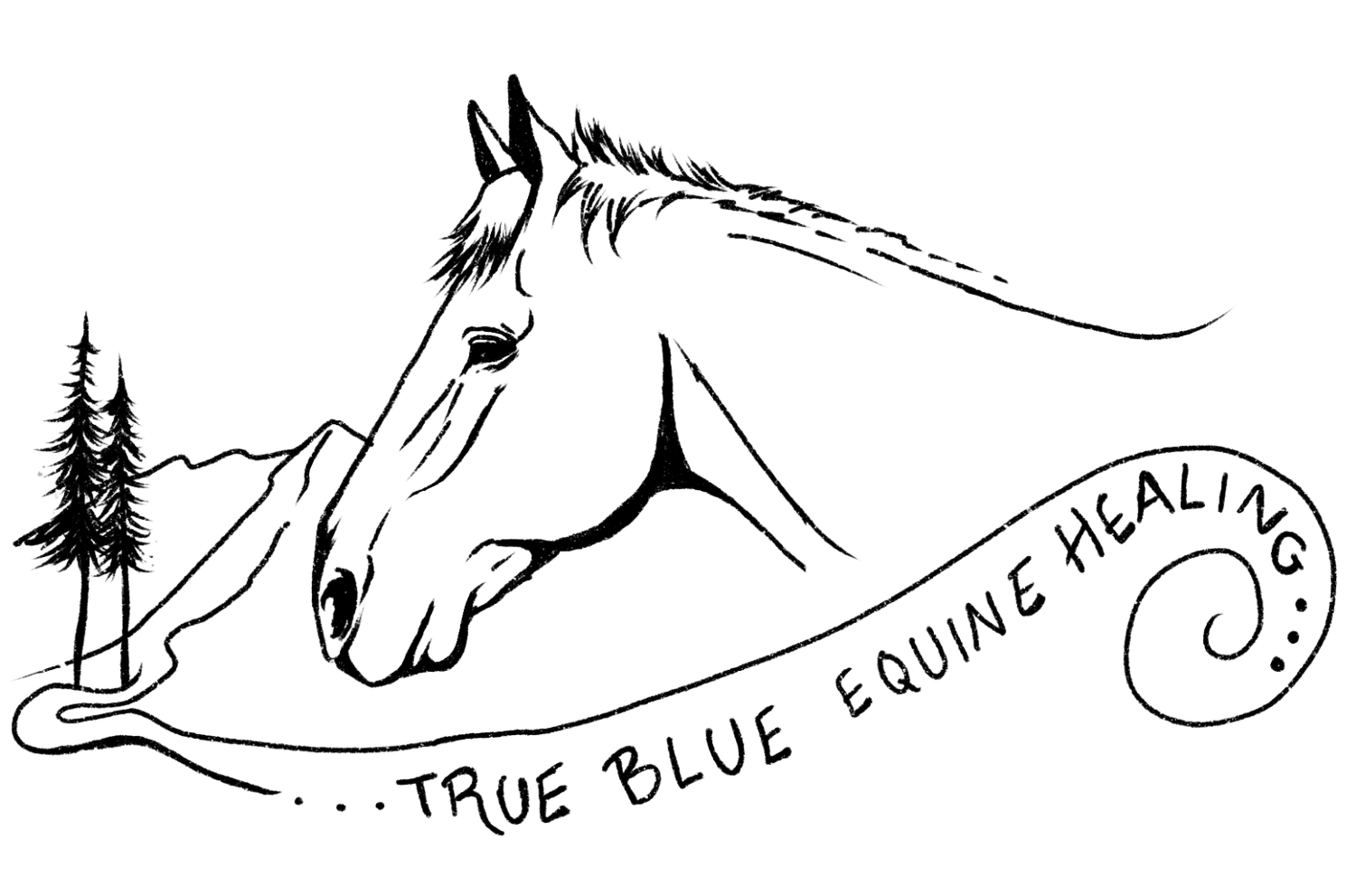 True Blue Equine Healing