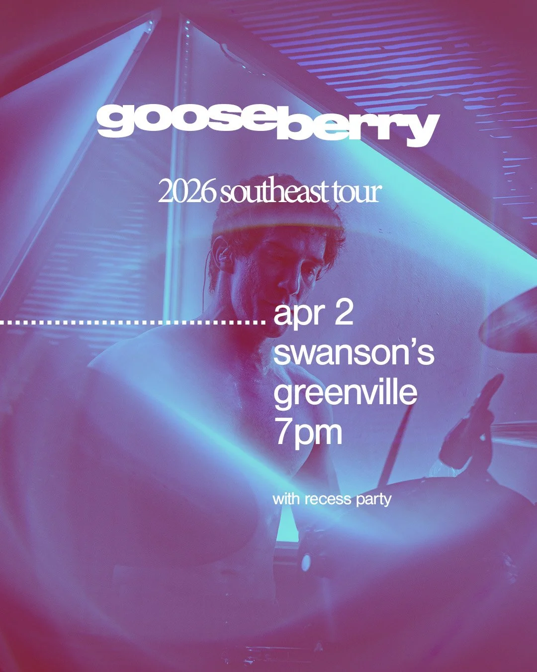 Gooseberry & Recess Party