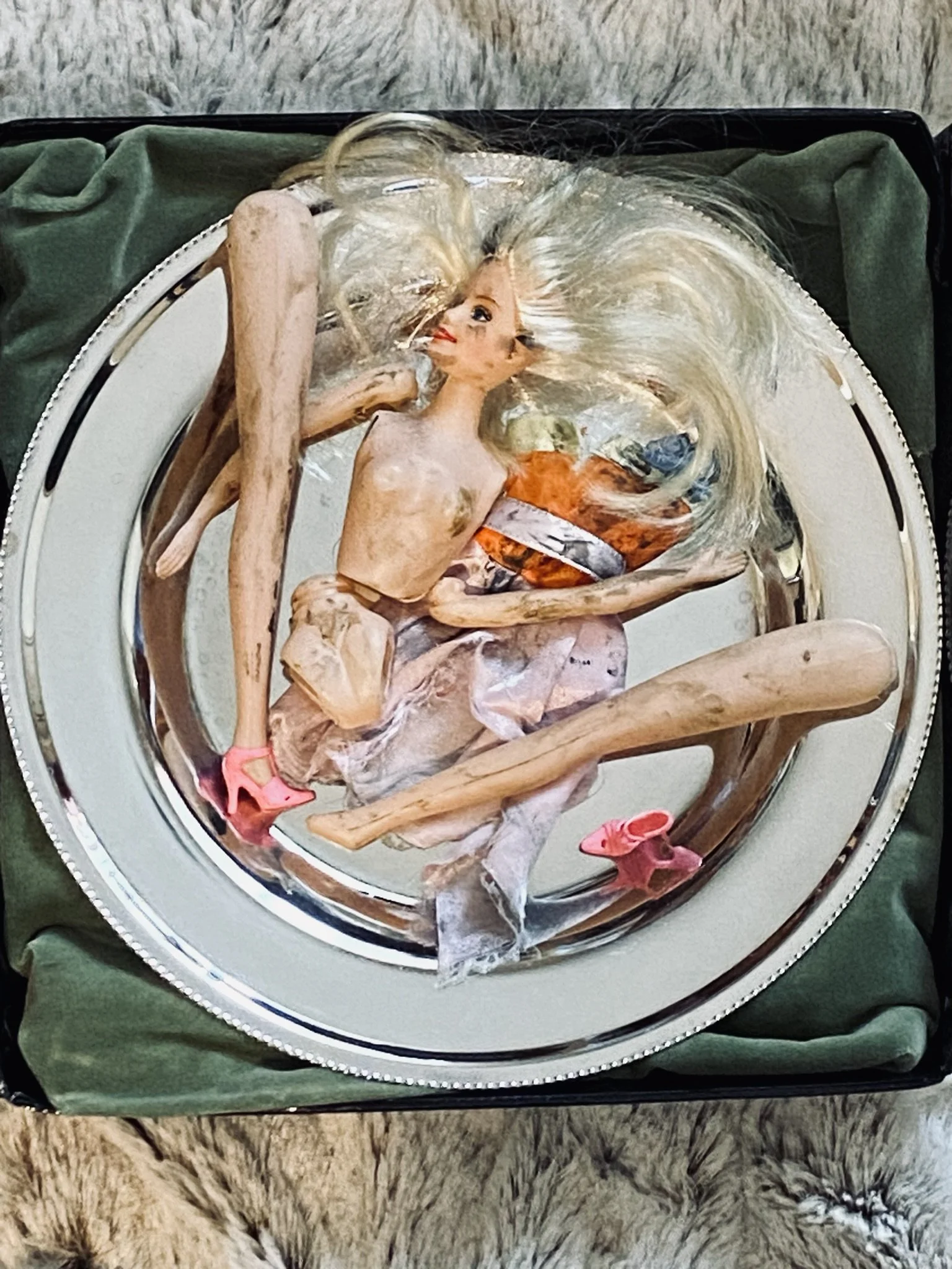 Silver Platter Barbie 3- inside the beautiful exterior