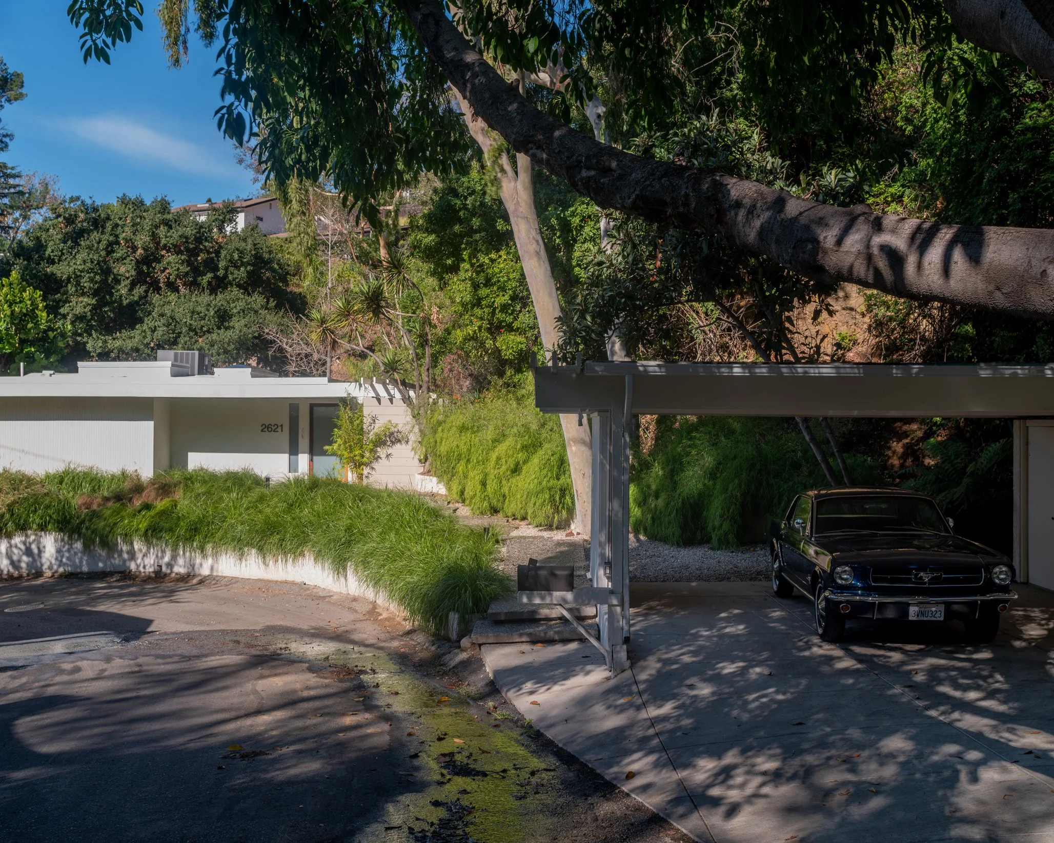 Mid-century Hollywood Hills home built into a sloped hillside lot with modern carport and landscaped approach