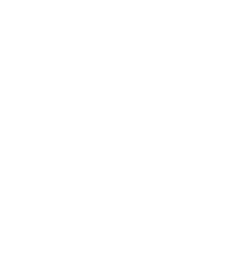 Escudo con una marca de verificación en el centro haciendo referencia a la seguridad vehicular