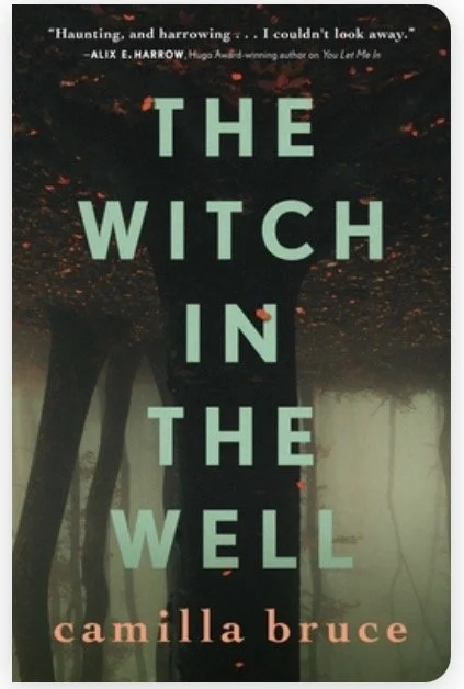 The Witch in the Well
