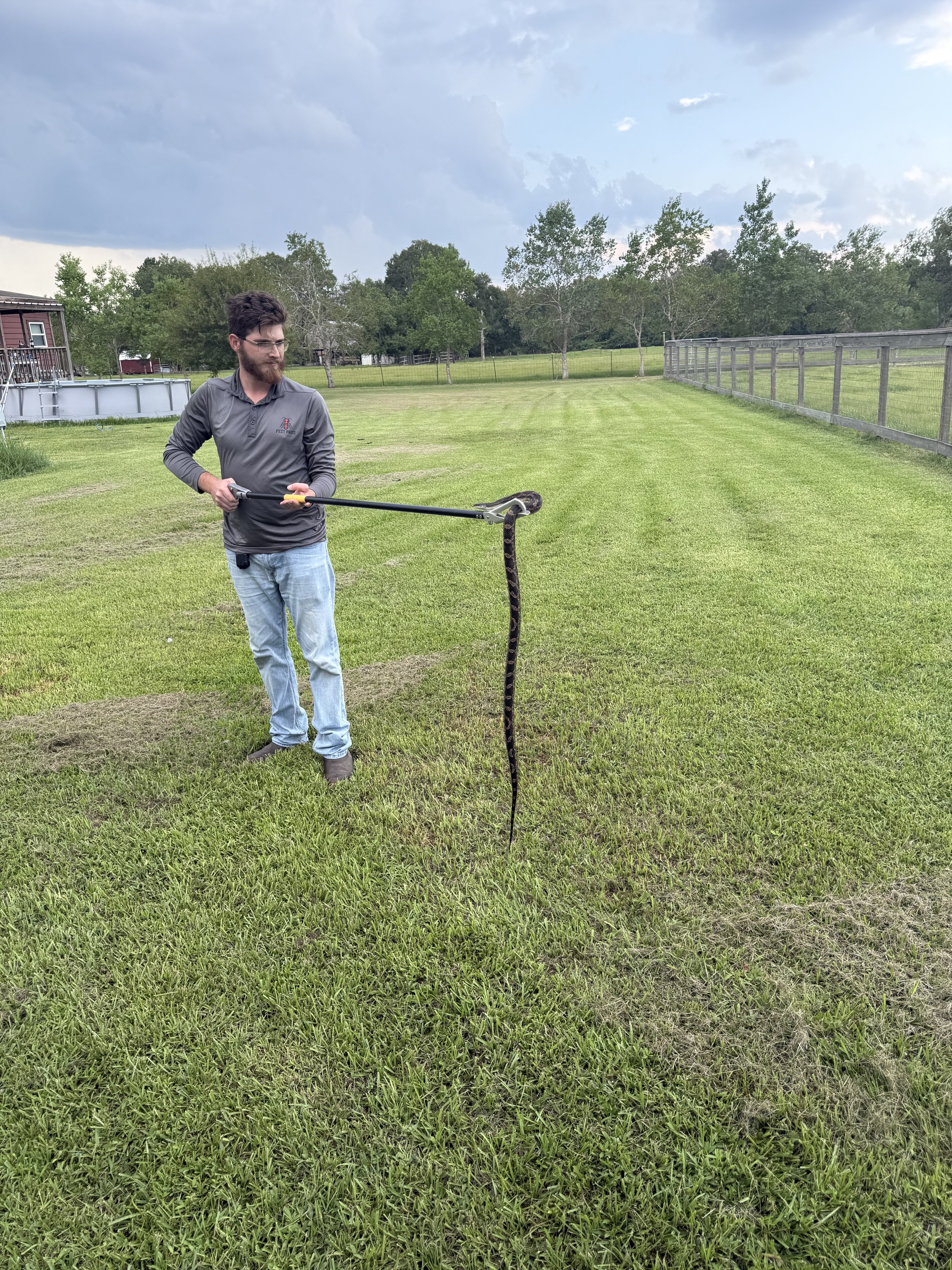 Man with a beard and glasses wearing a gray long-sleeve shirt and jeans standing on a grassy field, holding a tool with a snake hanging from it, under a cloudy sky.