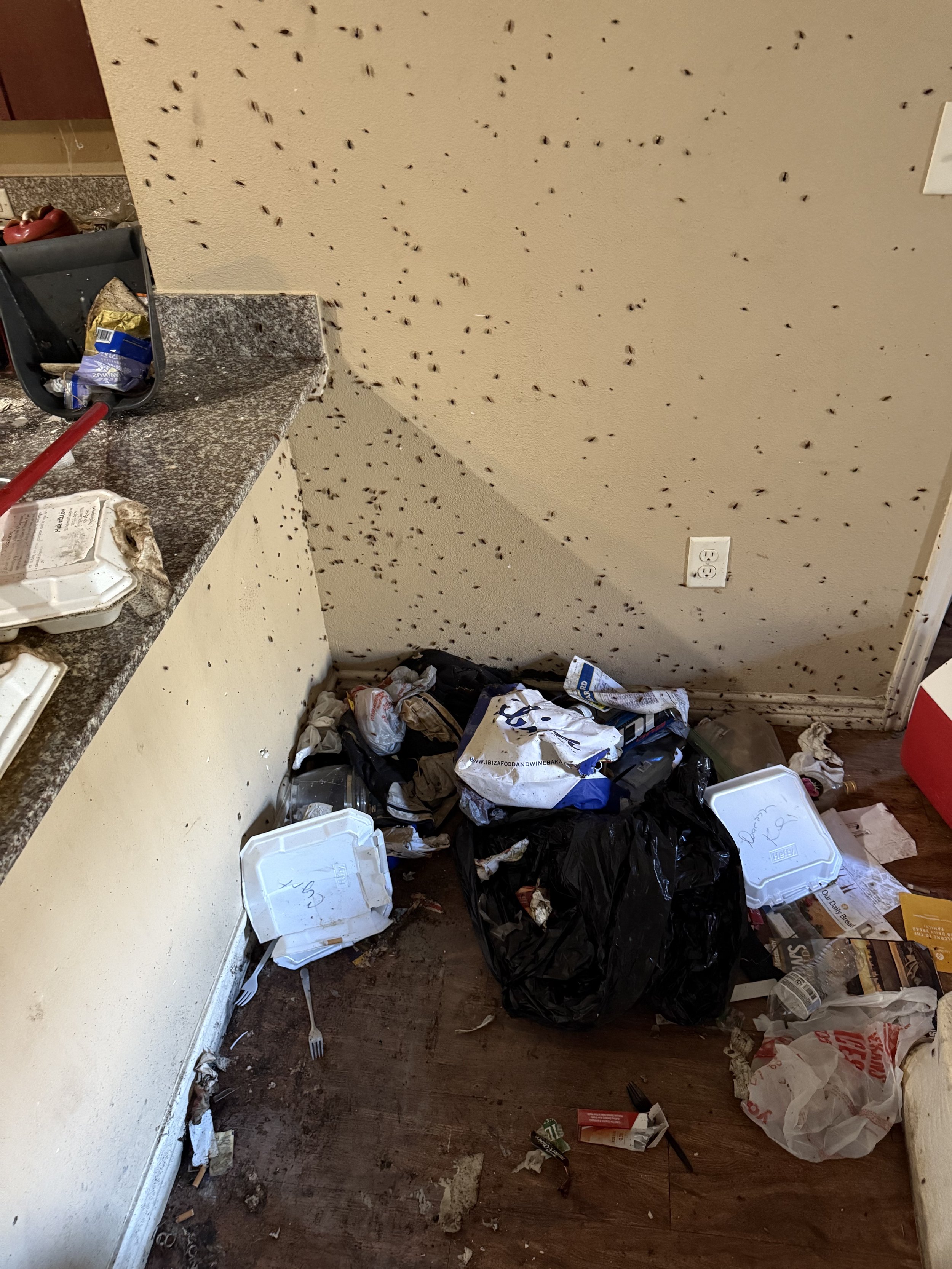 Messy kitchen corner with litter, trash bags, and scattered food containers on a dark wooden floor and dirty countertop, with a wall covered in small black ants.
