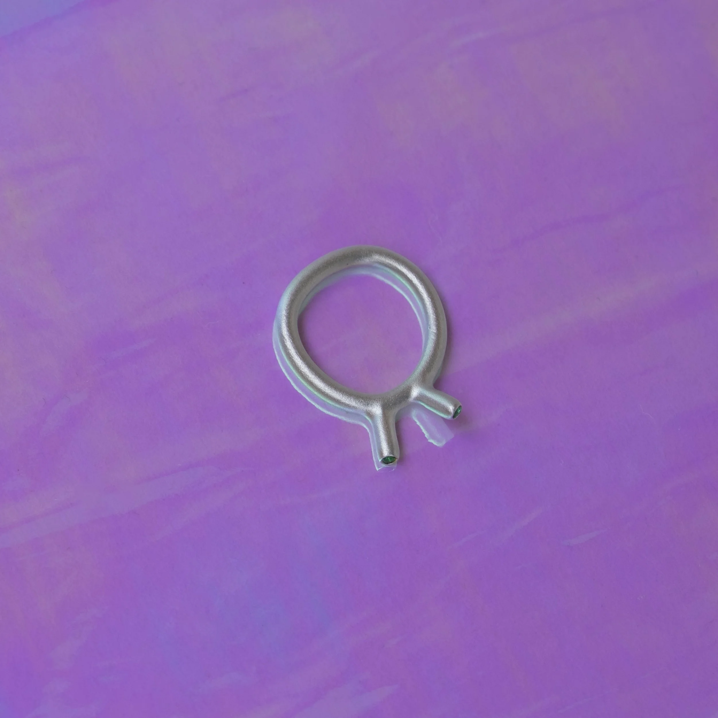 DSCF0051.jpg