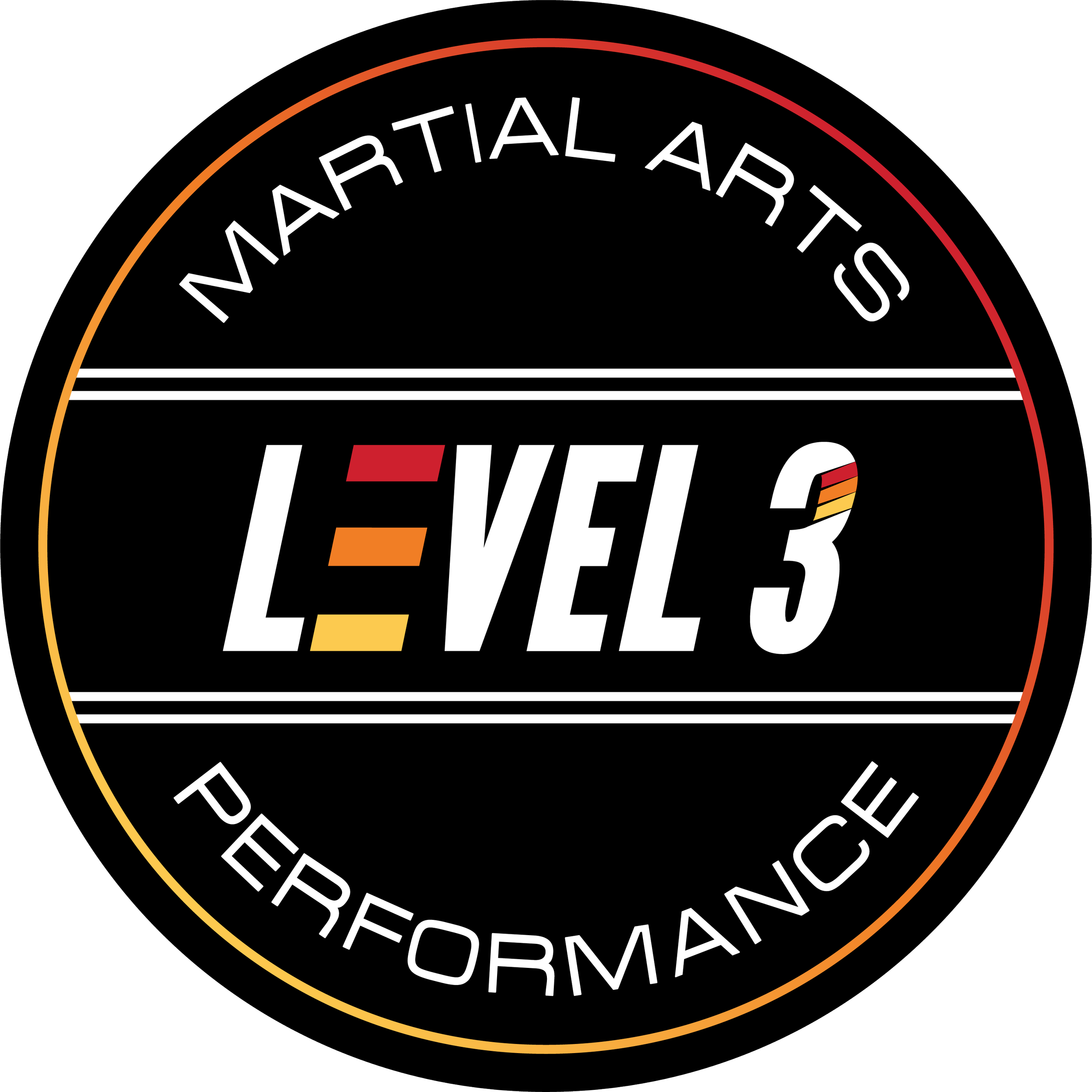 Level3 Circle_gradient.png