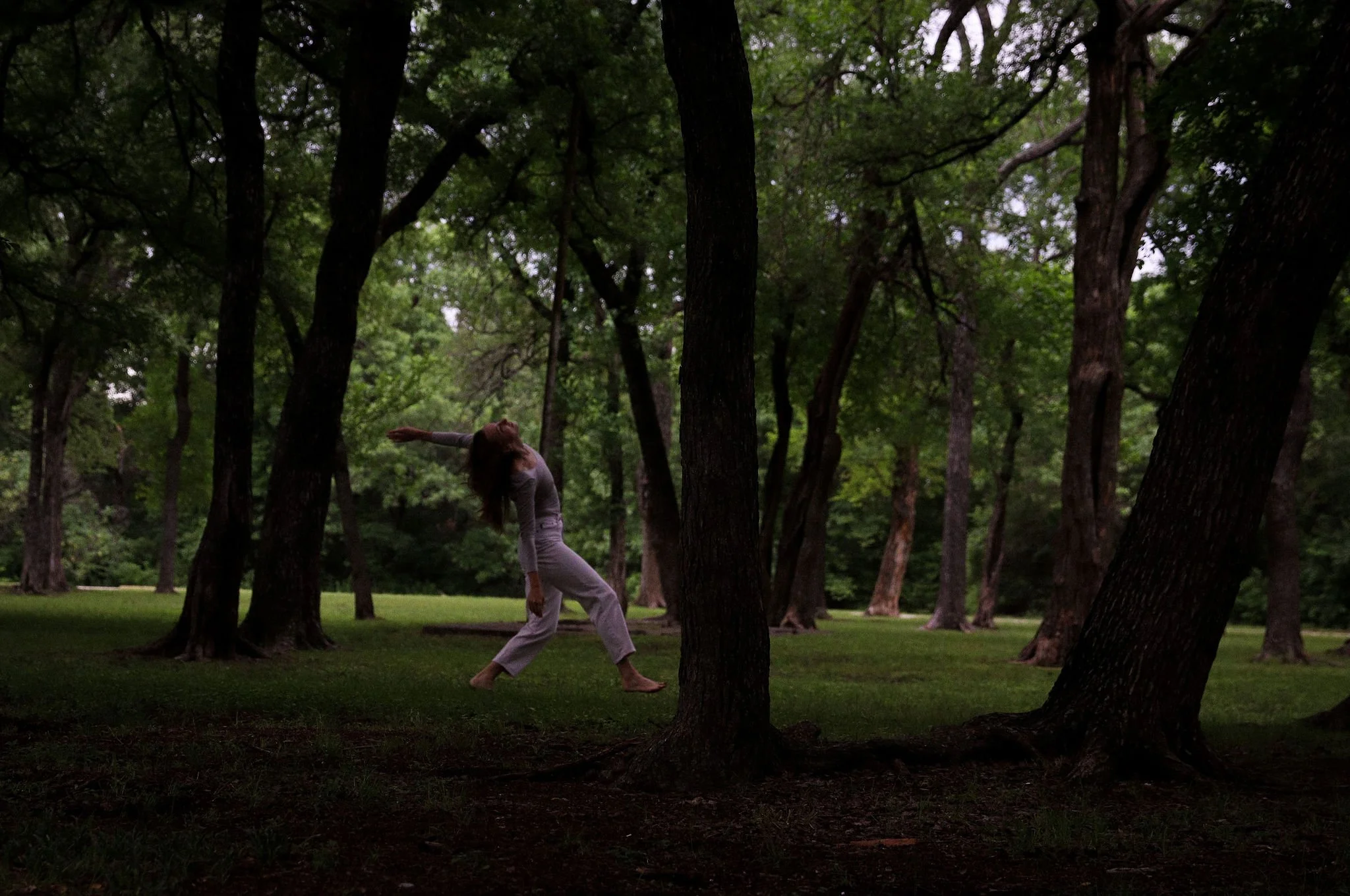 Jennifer Mabus’ Gardens & Graveyards
