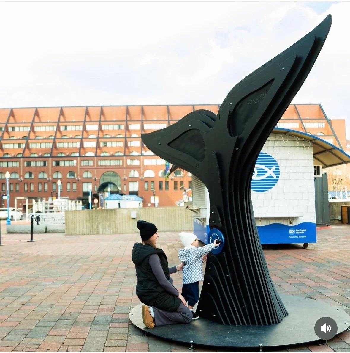 Whale Tales Installed 2.jpeg