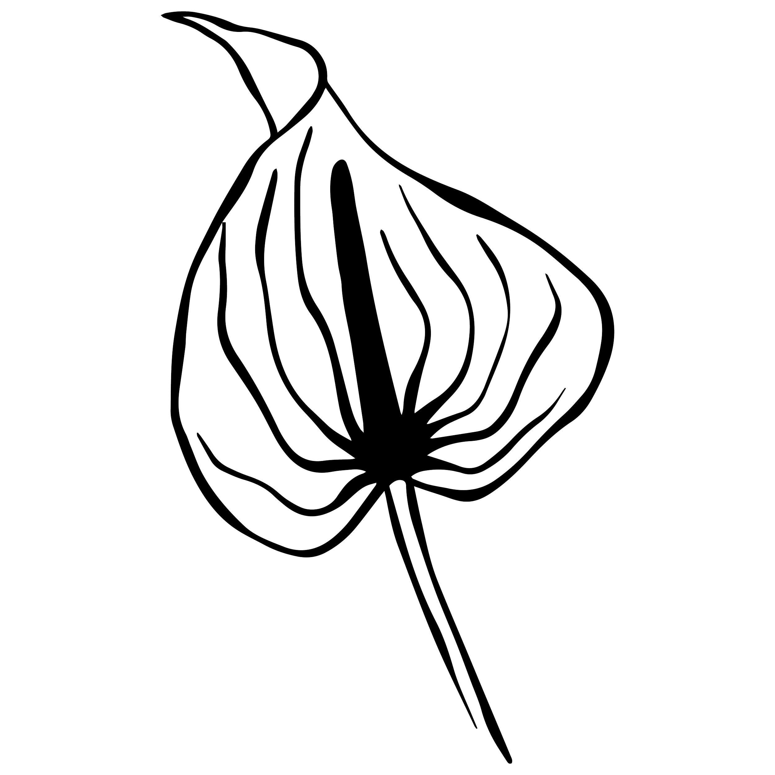 Outline drawing of an Anthurium. curved stem and vertical ridges.