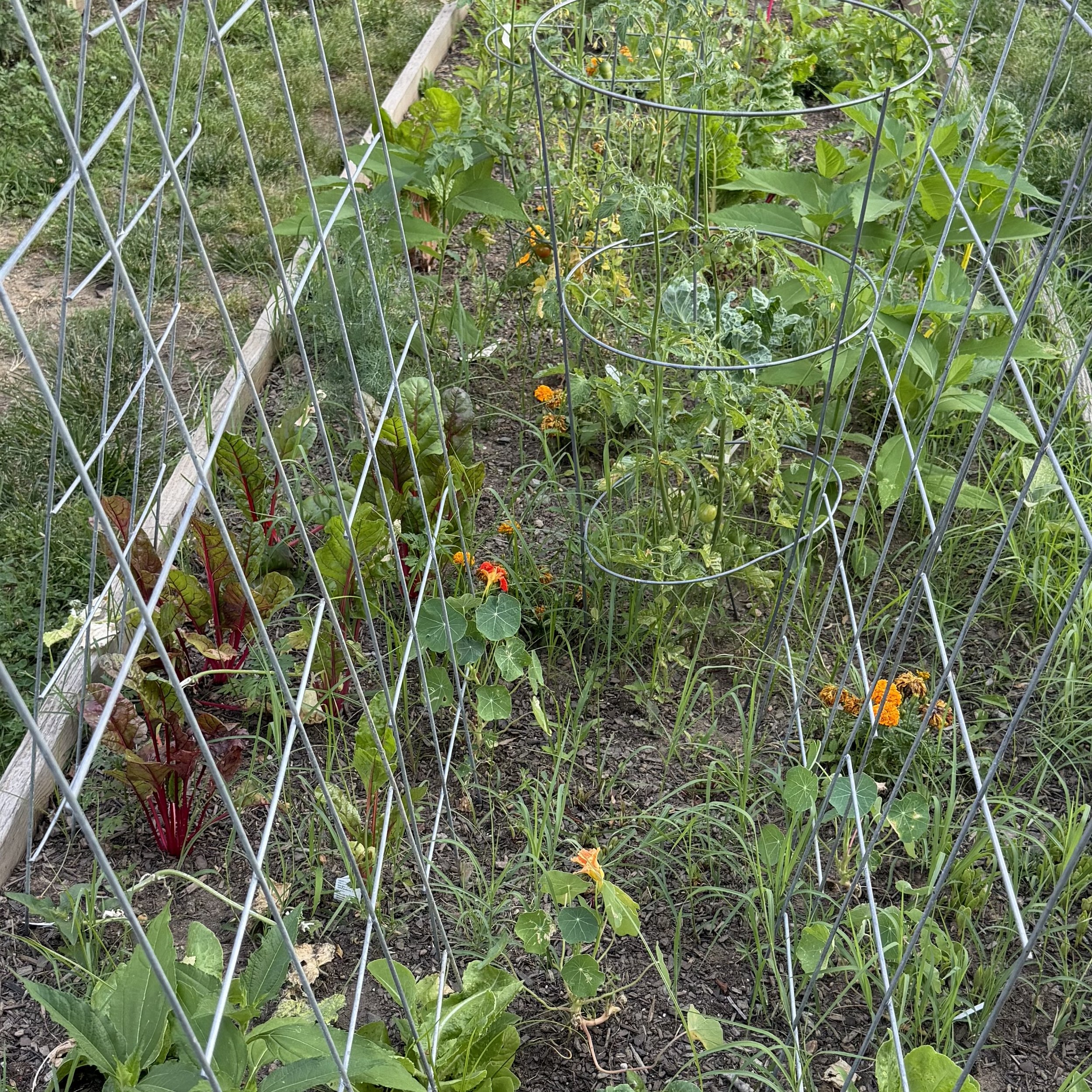 A Year of Tending