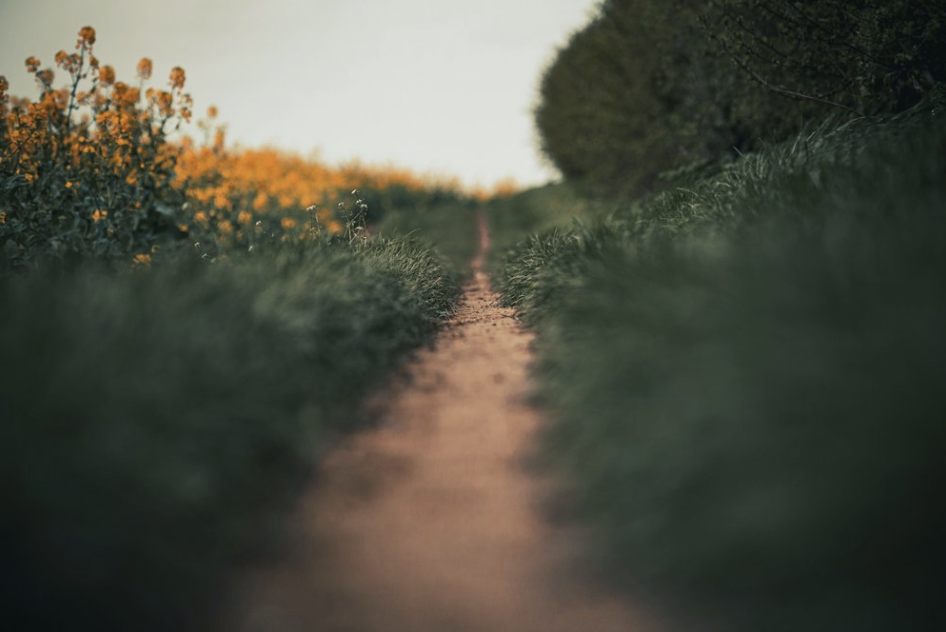 Letting Go of Control