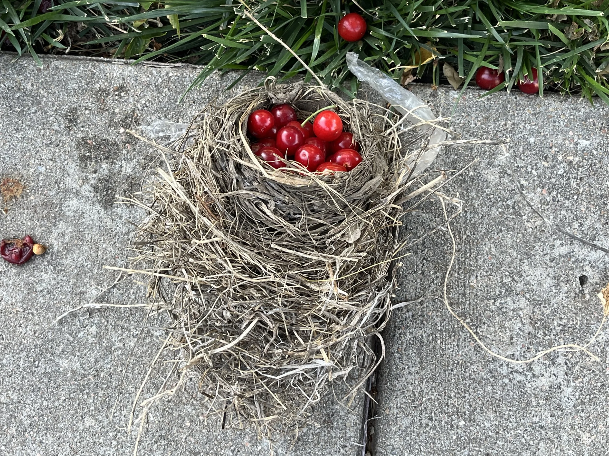 From the Archives:  A Moveable Feast