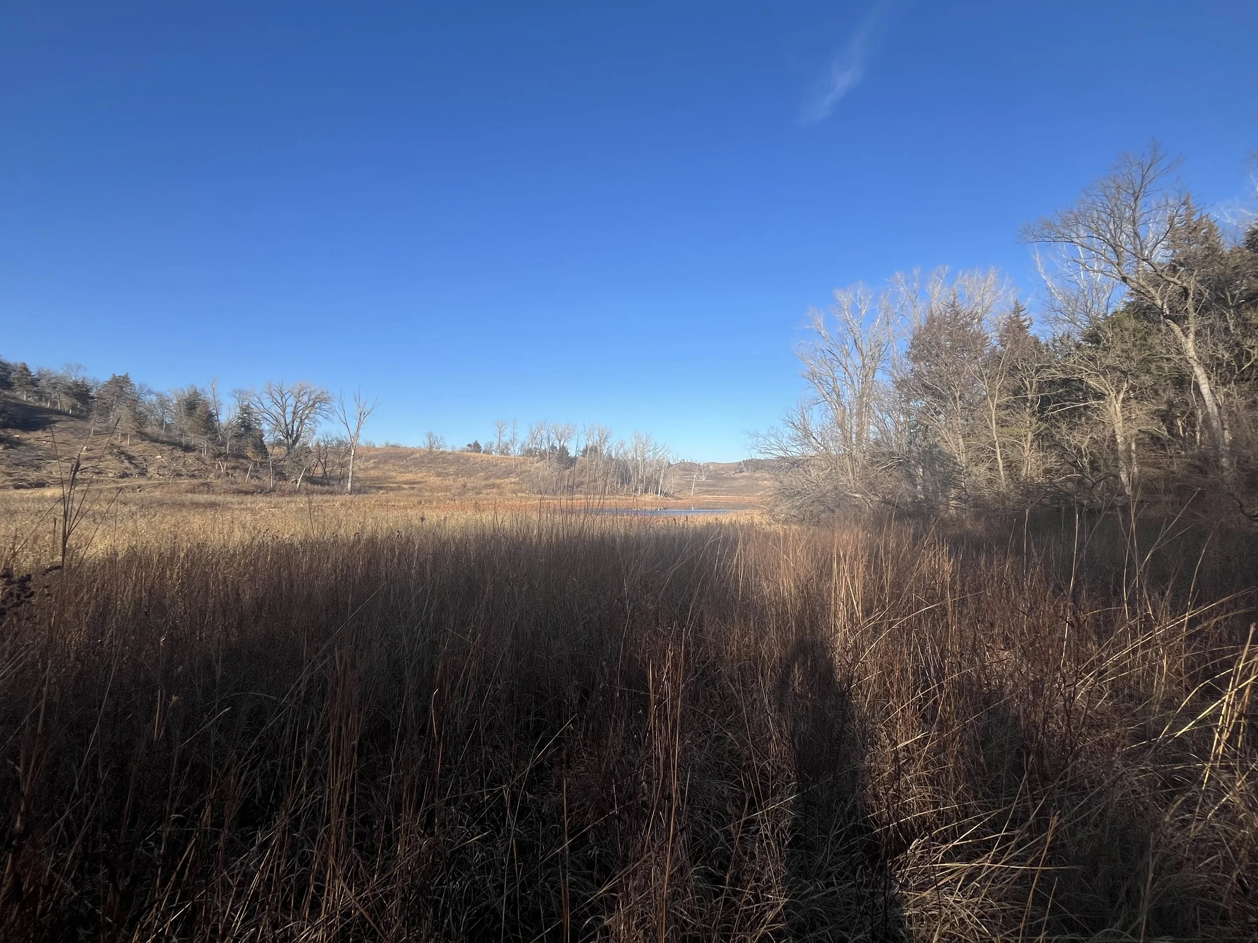 A Light Meal After the Feast