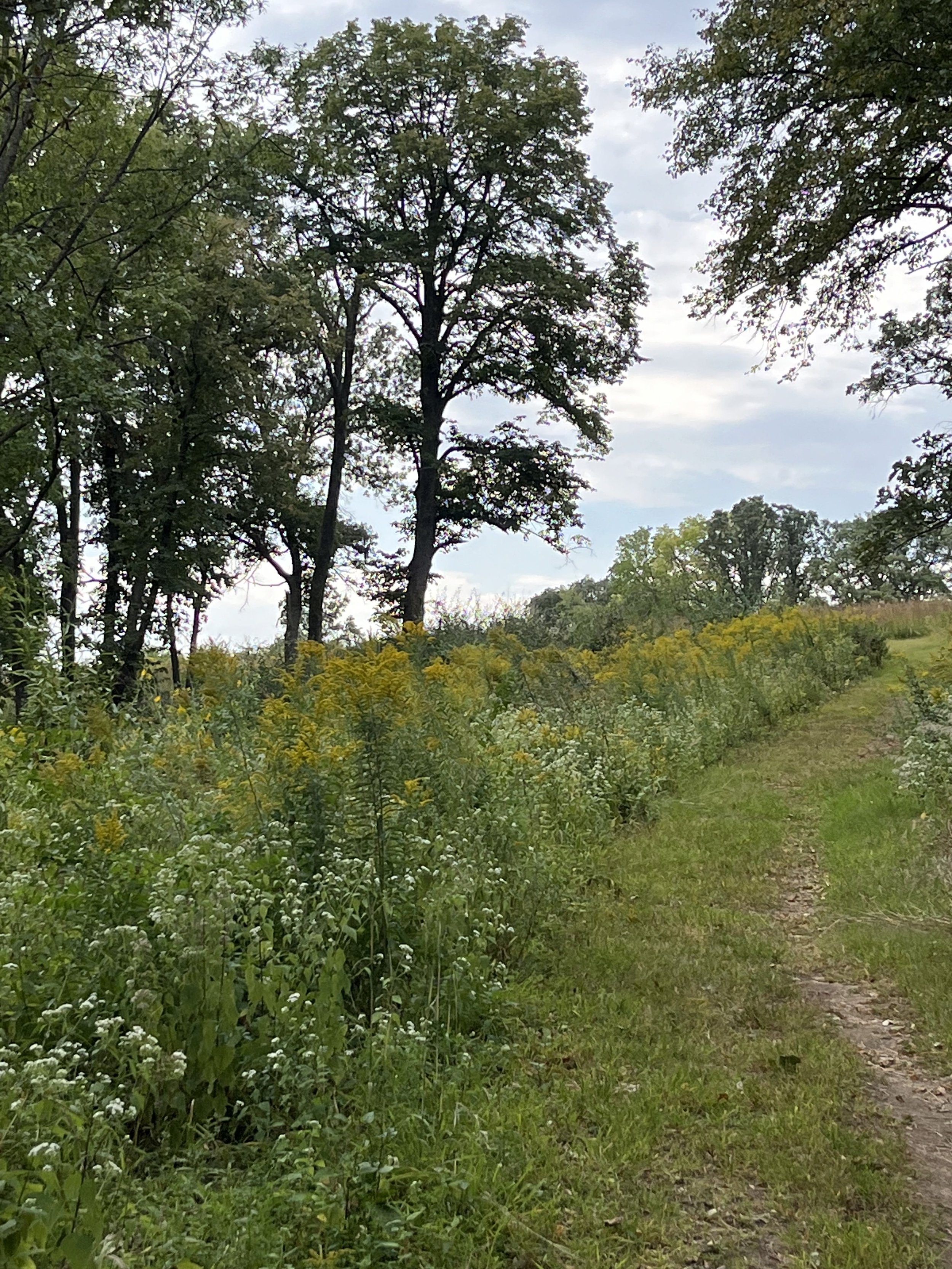 Navigating Edge Spaces: A Day Retreat (in person)