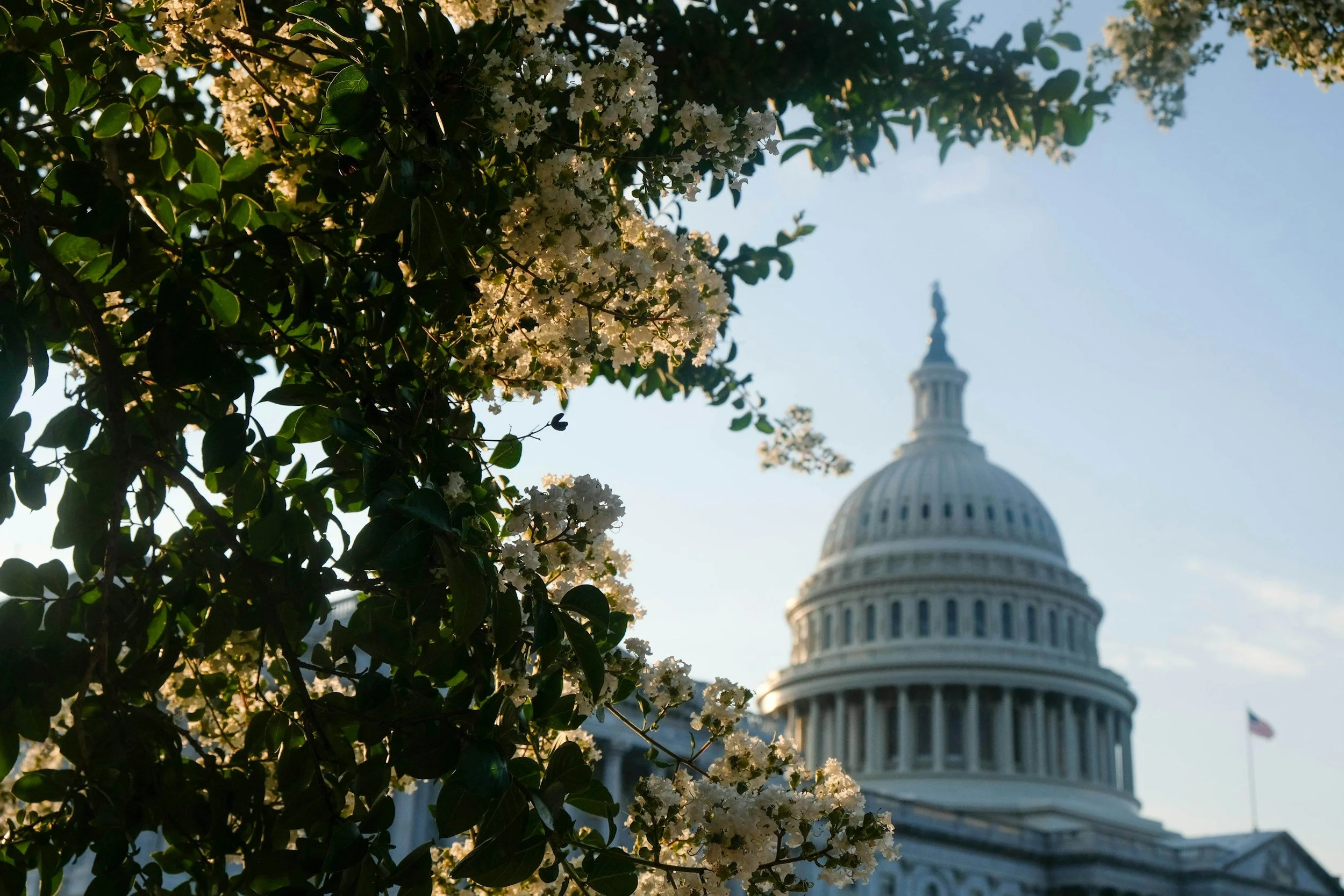 Mar 16 Newsletter — OY Federal Updates