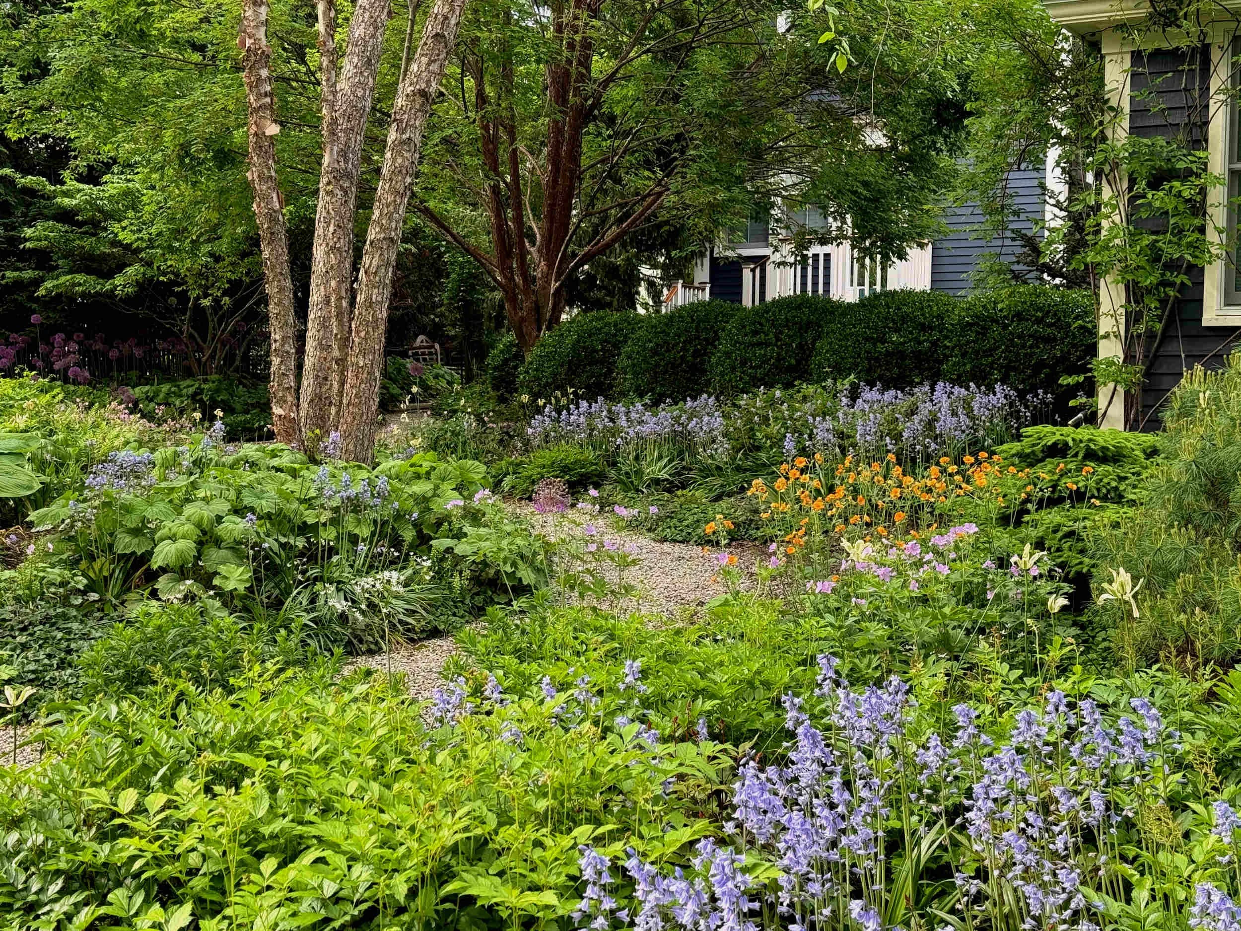 Town Garden Sanctuary