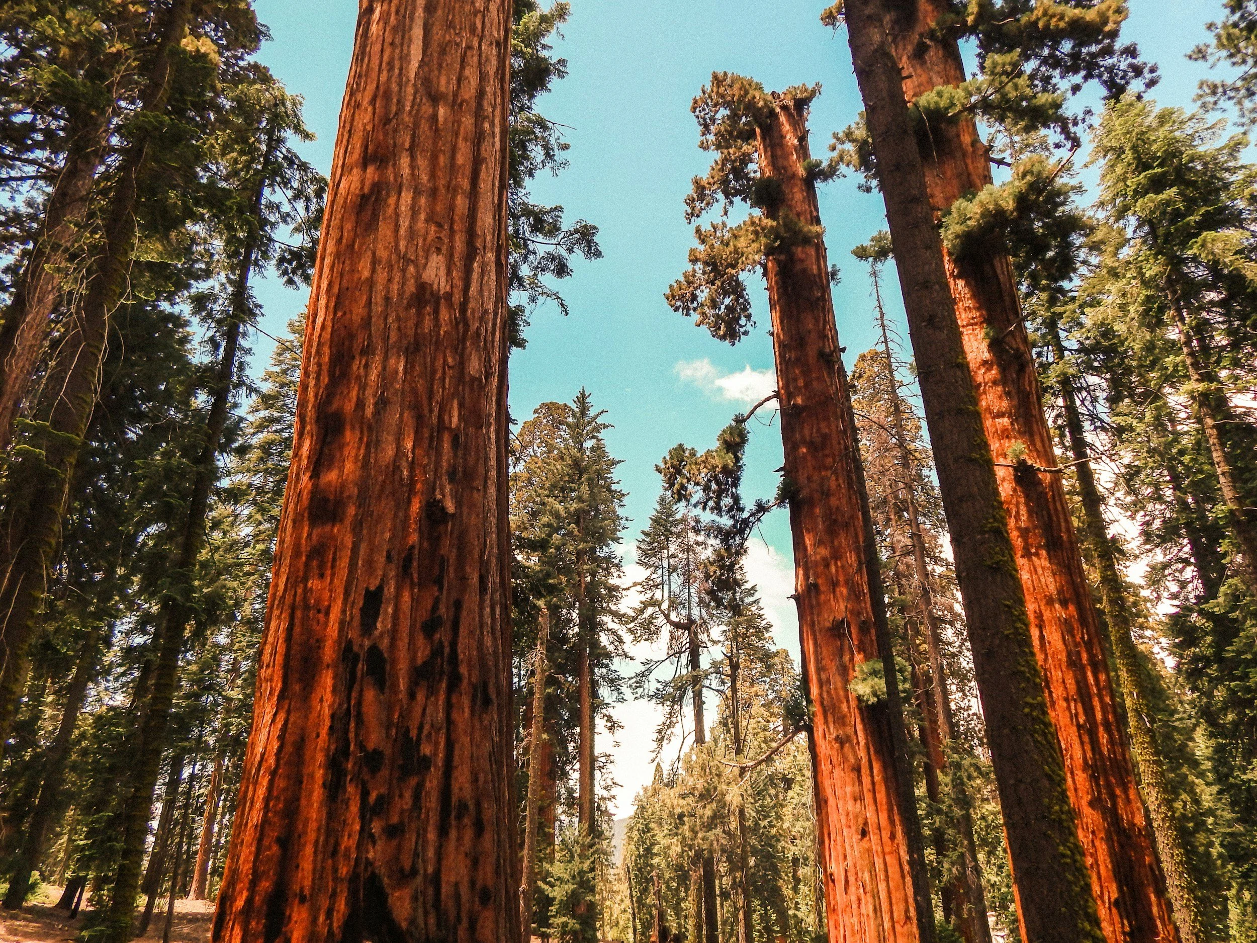 unsplash-image-VvLtsgFo2Ss.jpg