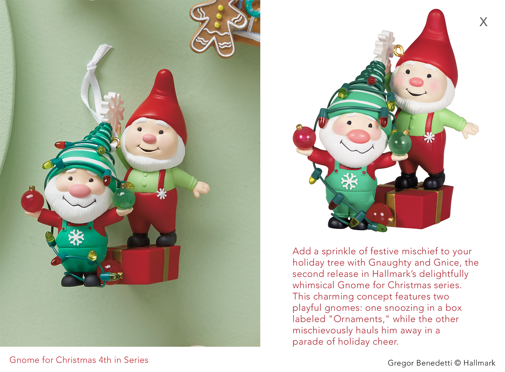 Gnome for Christmas 7.png