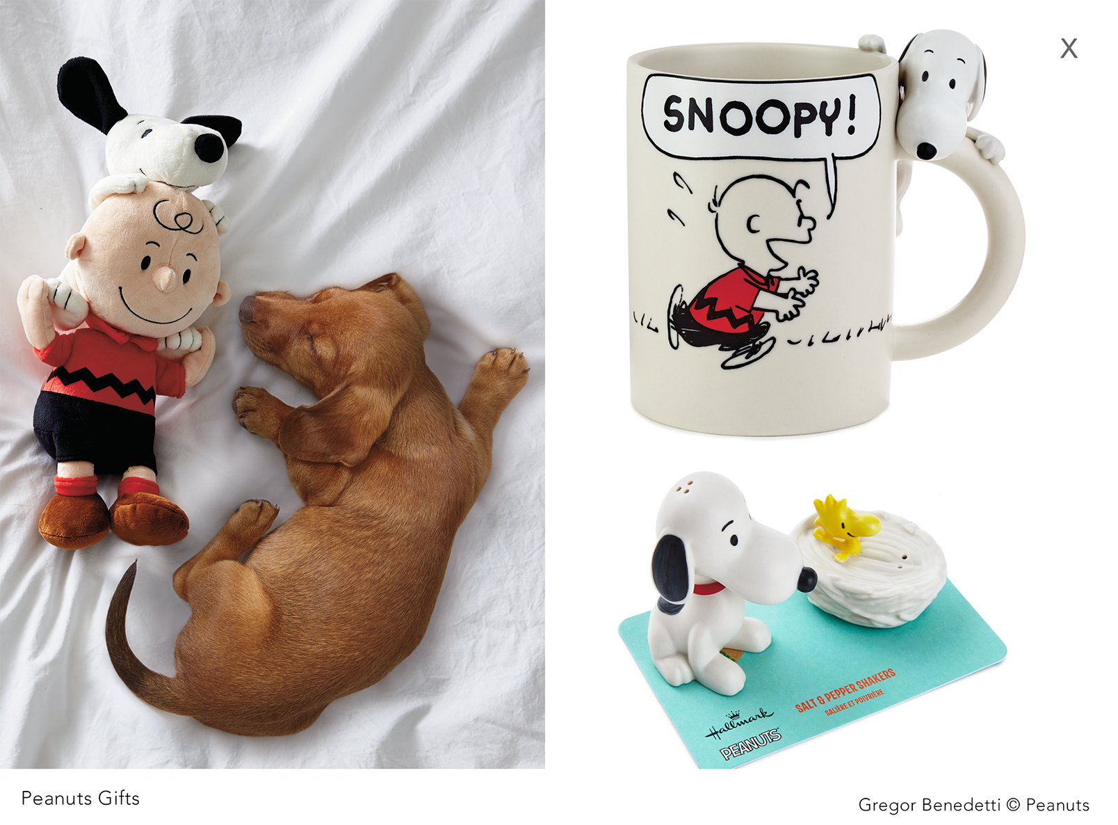 Peanuts Hallmark 6.png