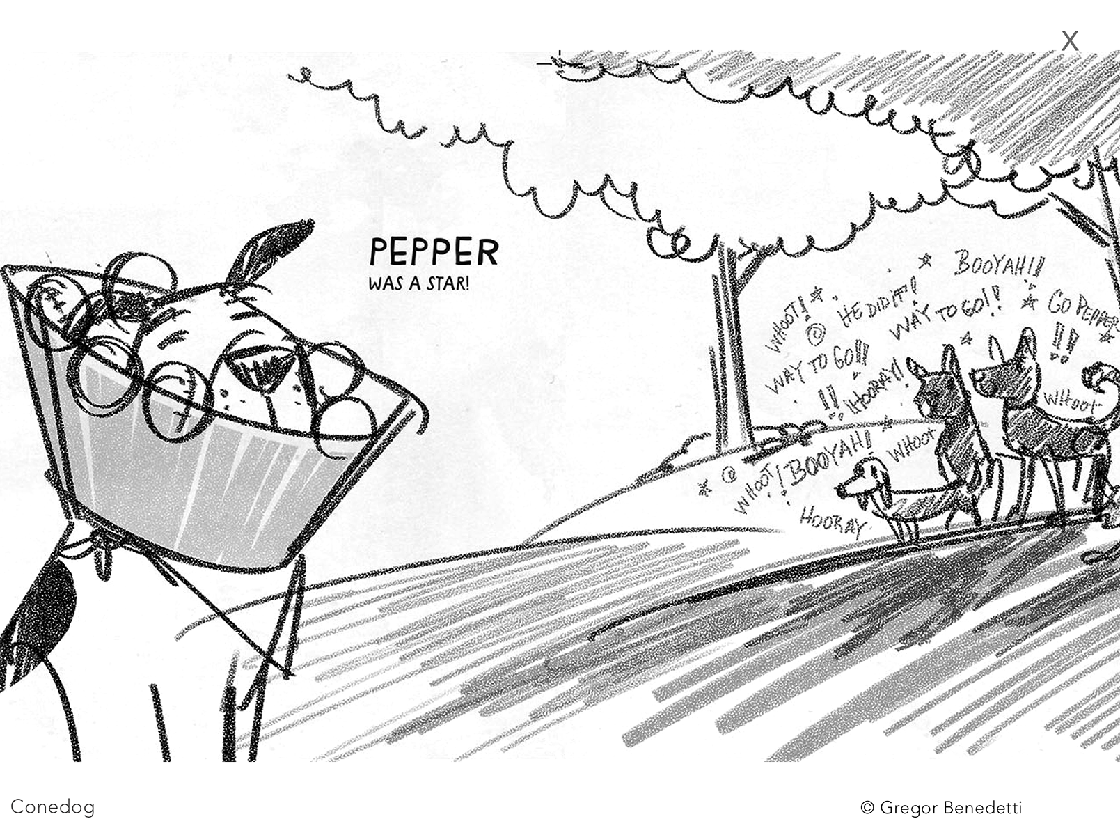 CONEDOG 11.png