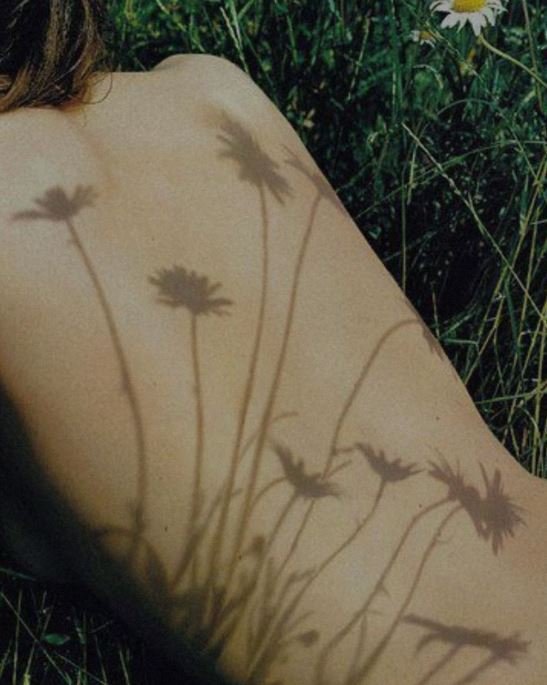 Shadow of daisies cast on bare skin in a grassy outdoor setting.