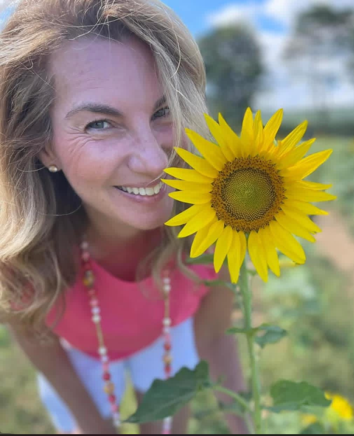 Sunflower Walks