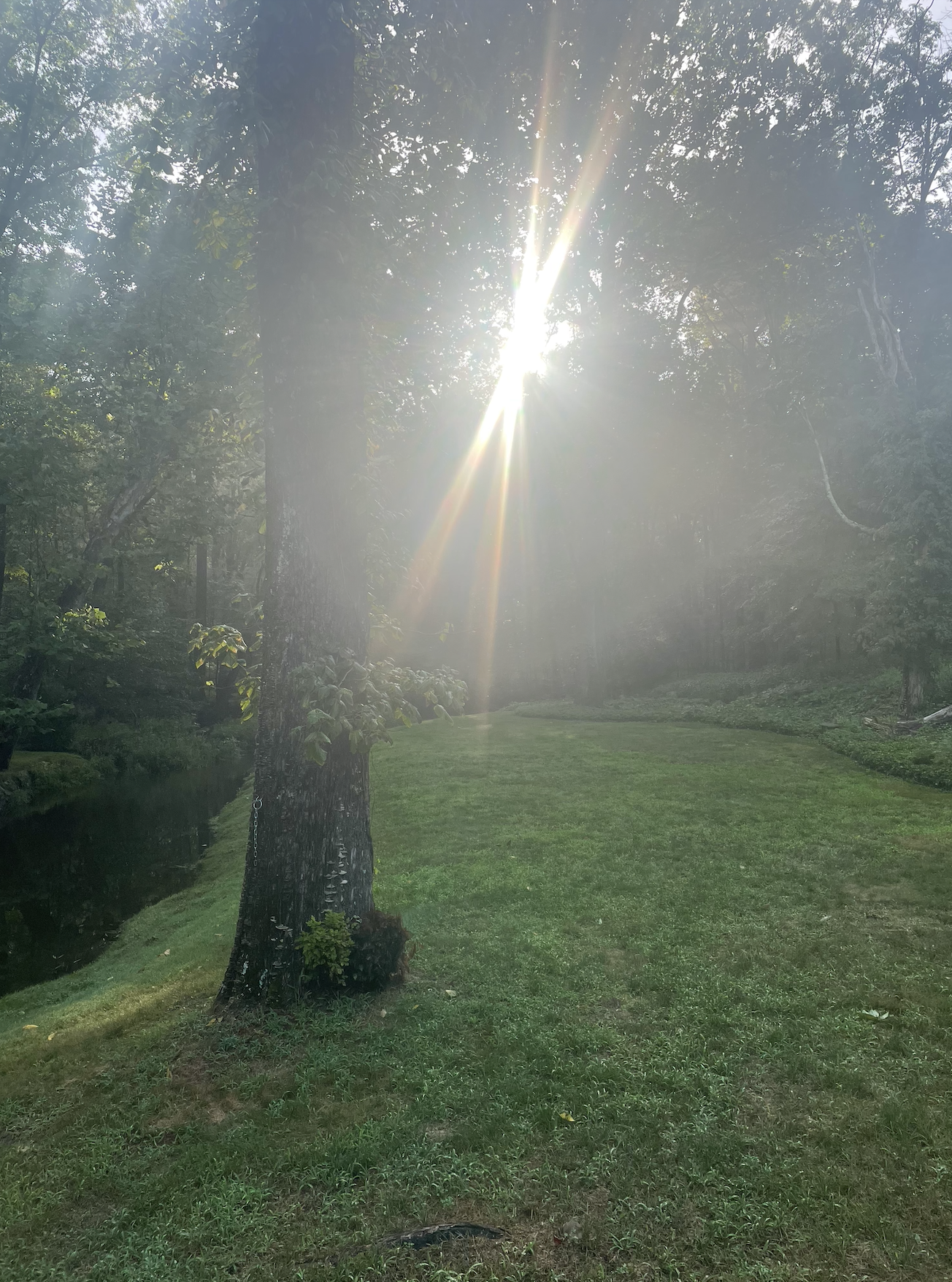 Early Morning Meditation Programs