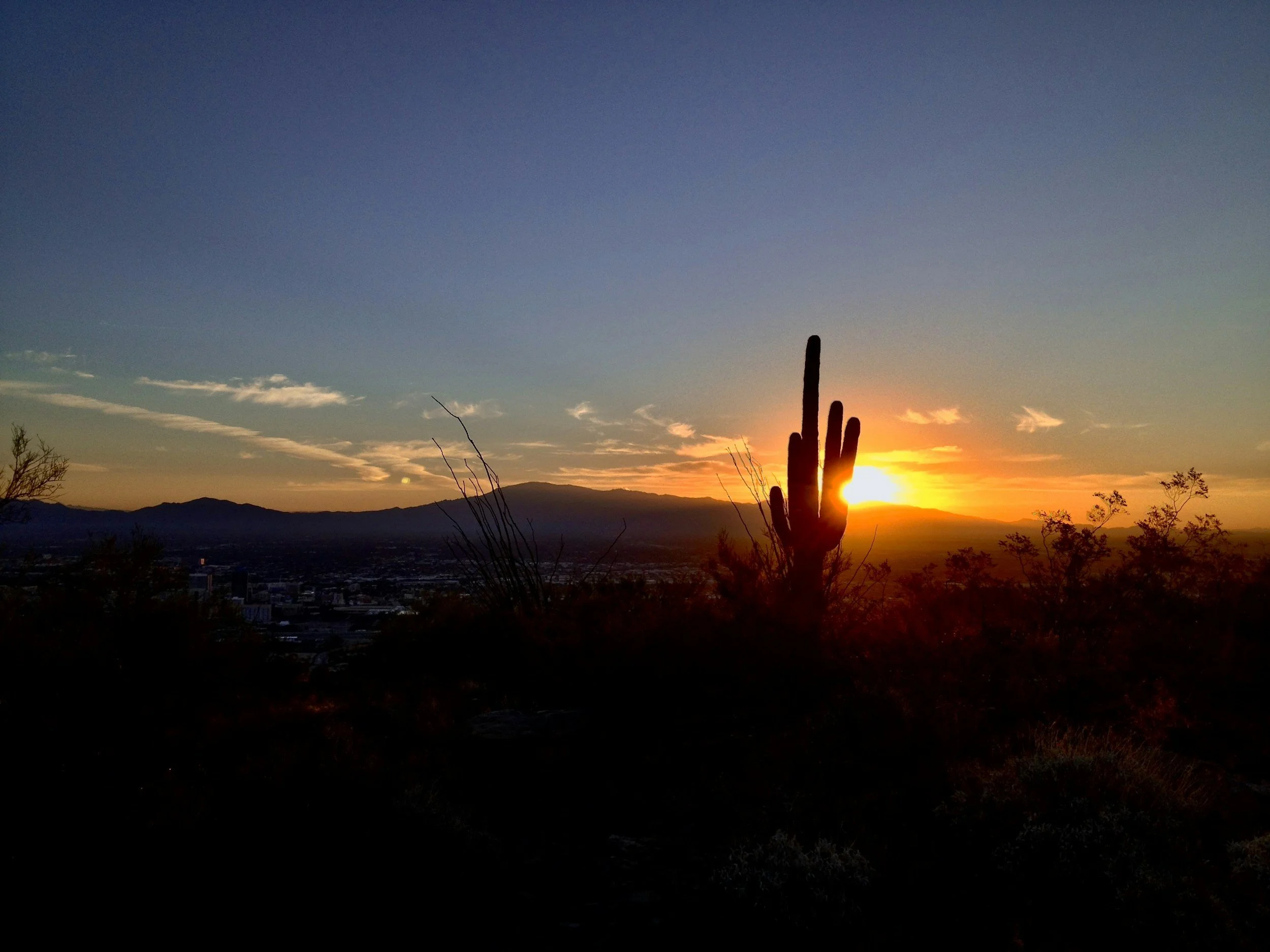 Sunset over a desert landscape with a silhouette of a cactus in the foreground, mountains in the background, and a colorful sky with scattered clouds.