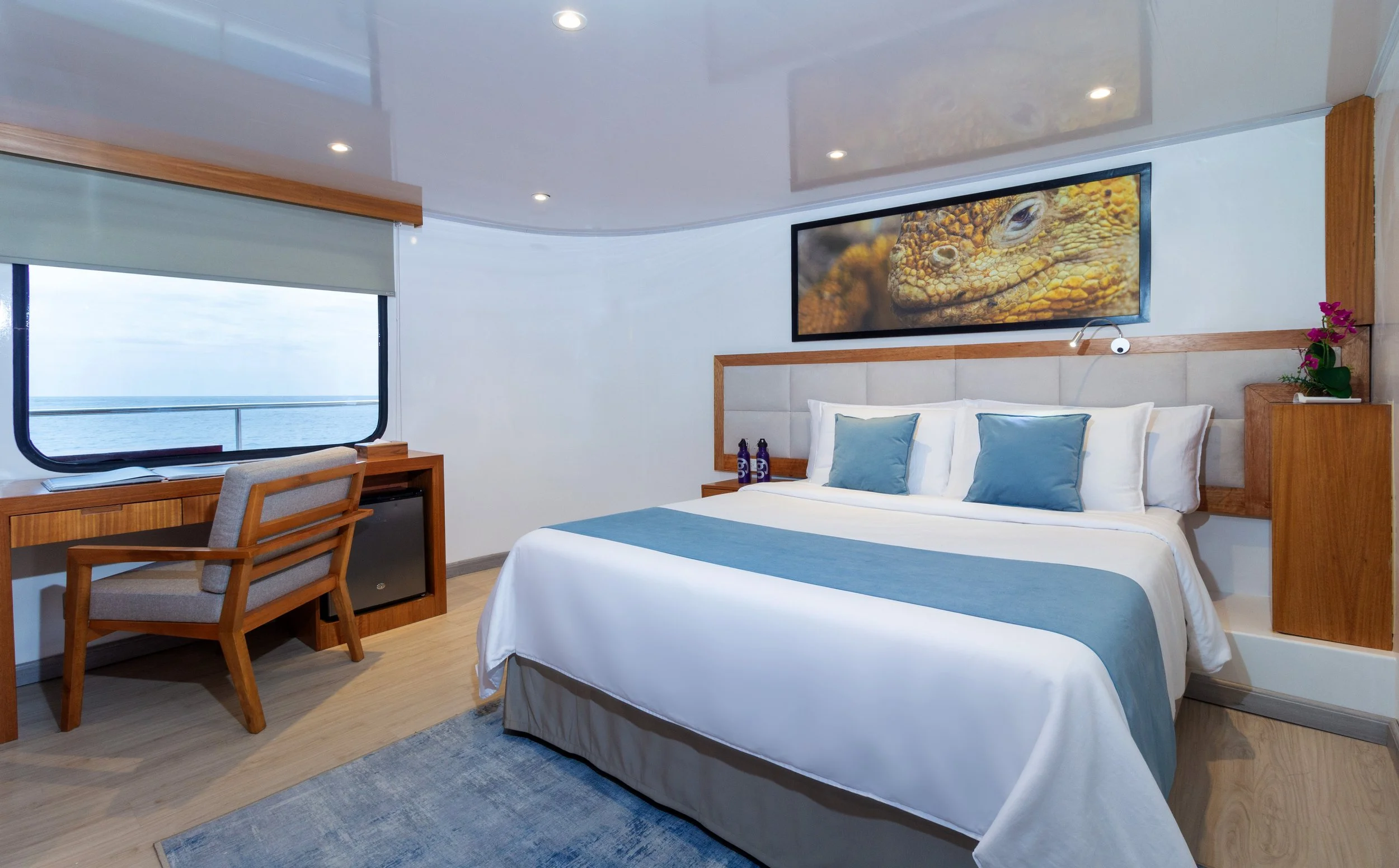 Reina Silvia Voyager-CAB #1-1.jpg