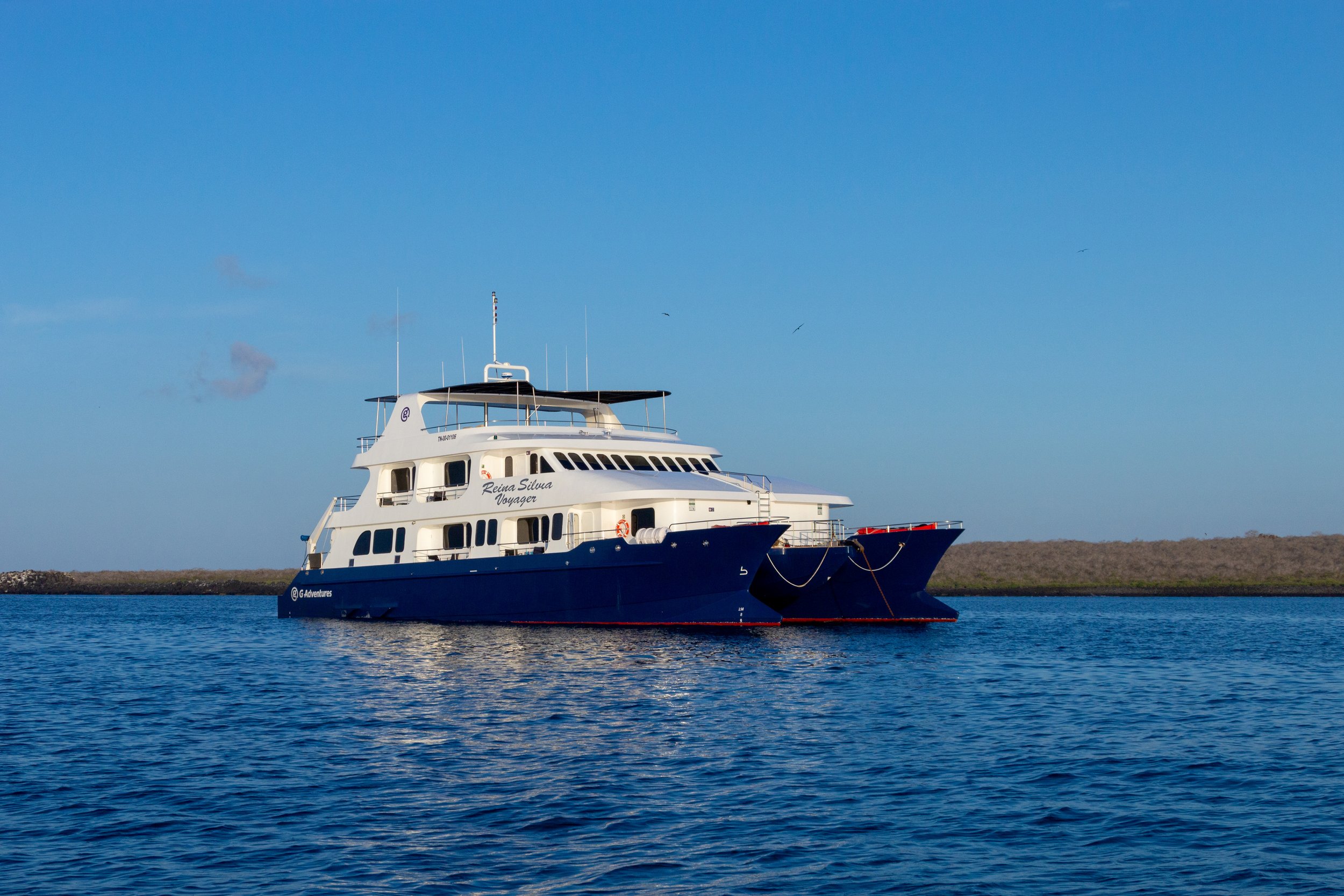 Reina Silvia Voyager-RSV-5.jpg