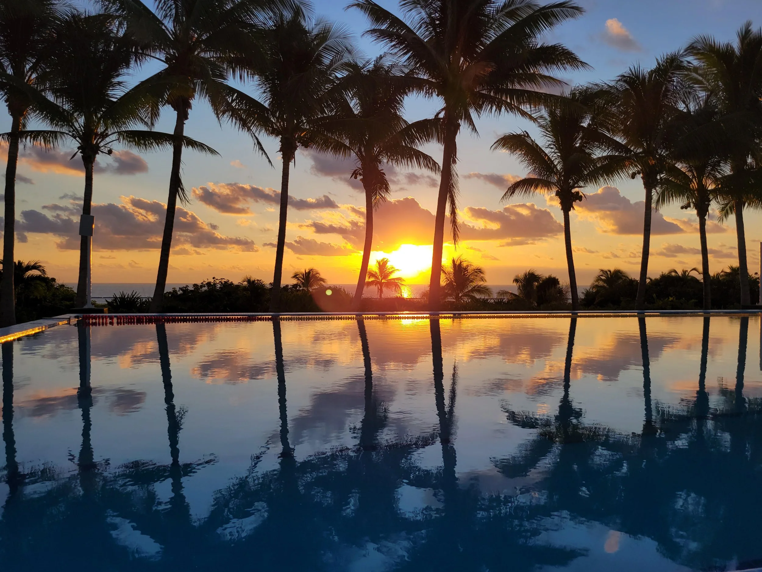 Sunset over a tropical scene with palm trees silhouetted against the sky, reflecting on a calm body of water in the foreground.