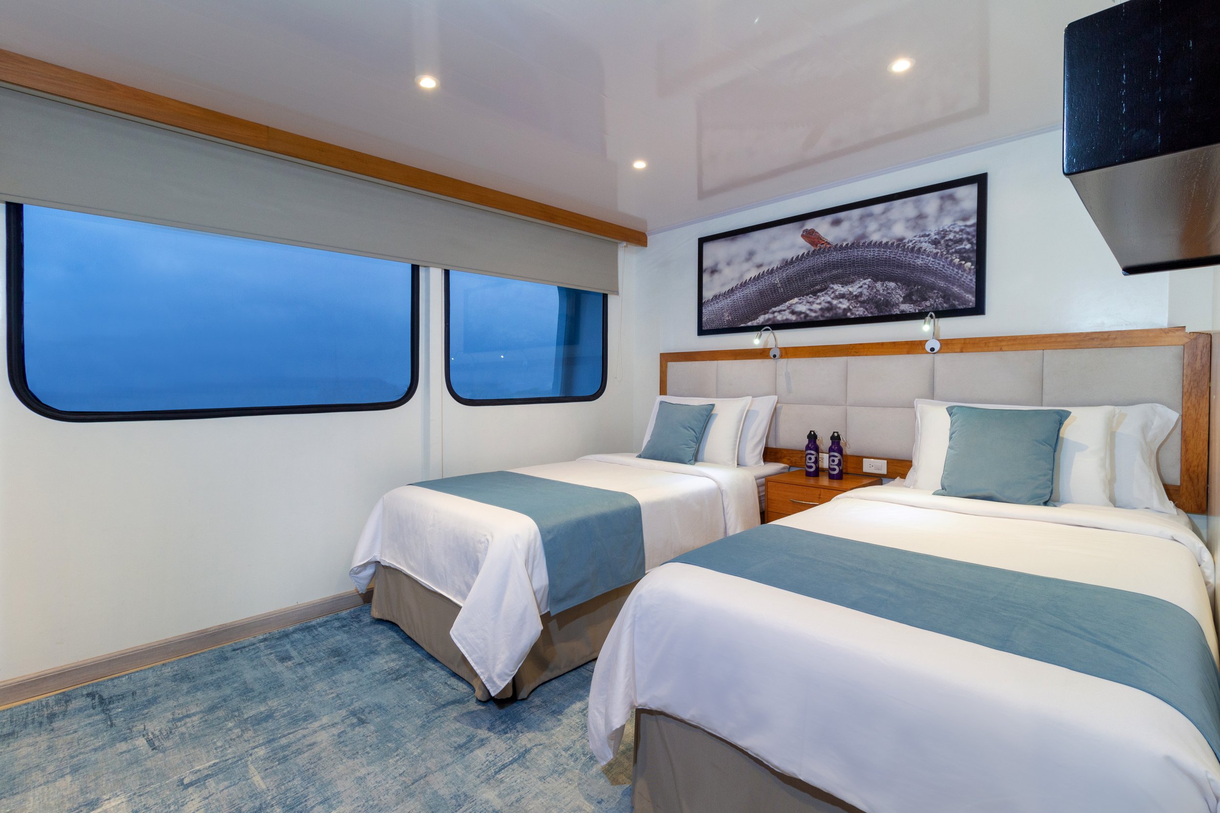 Reina Silvia Voyager-CAB TWIN-1.jpg