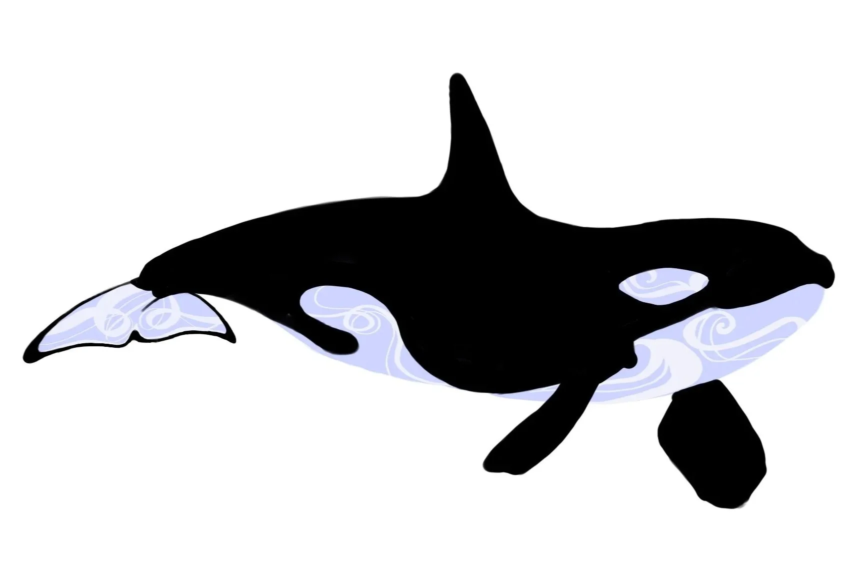 This is a digital version of the "Lumpy" block print of an orca. The orca is flipped horizontally from the print, has no blue-swirl background, but its light body parts have white swirls on them.