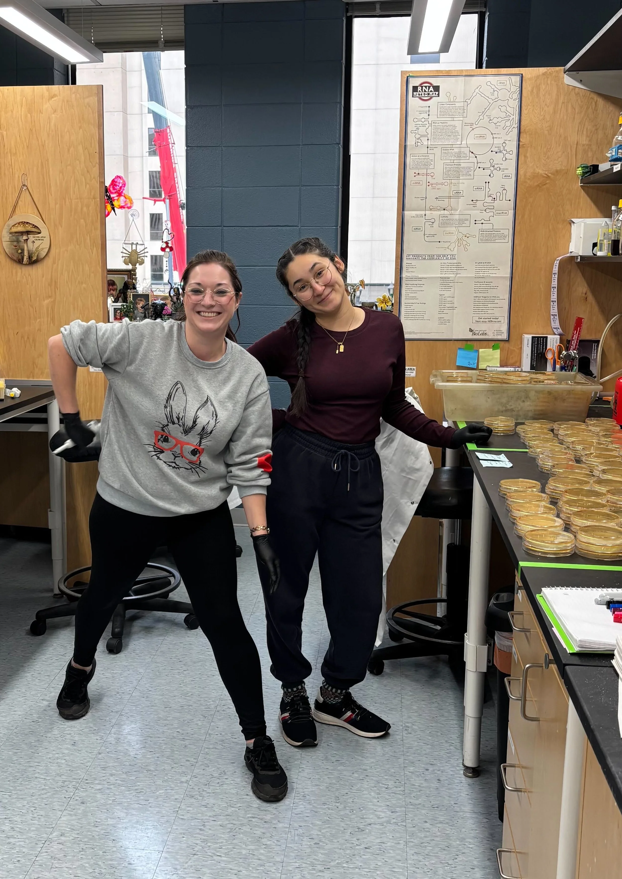 Dec 2025 First Mouse Infection 1.jpg