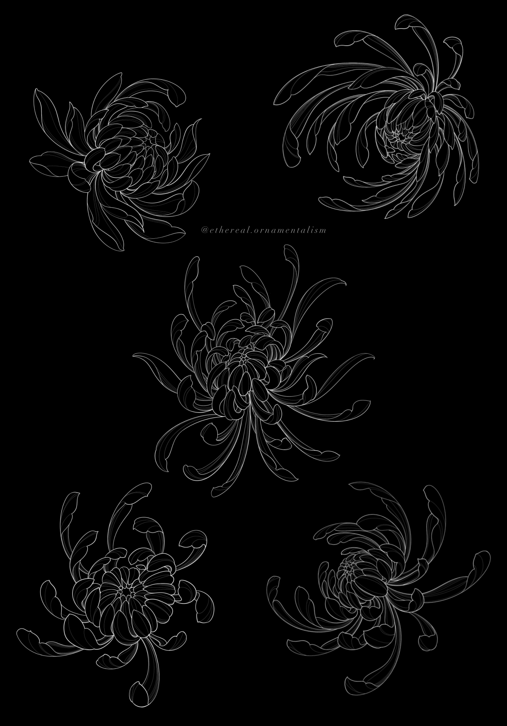 Nastasya_Chicago_Tattoo_Artist_Floral_Ornamental_blackwork_abstract_tattoos.PNG