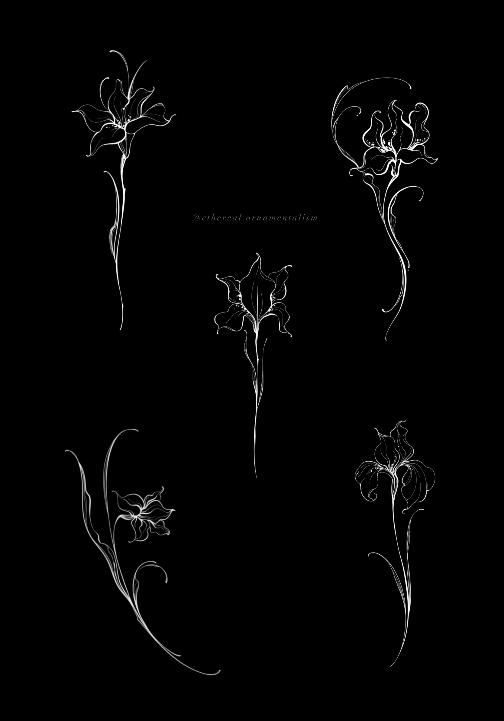 Nastasya_Chicago_Tattoo_Artist_Floral_Ornamental_blackwork_abstract_tattoos.PNG