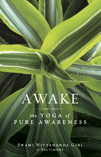 Store_Cover_Awake.png