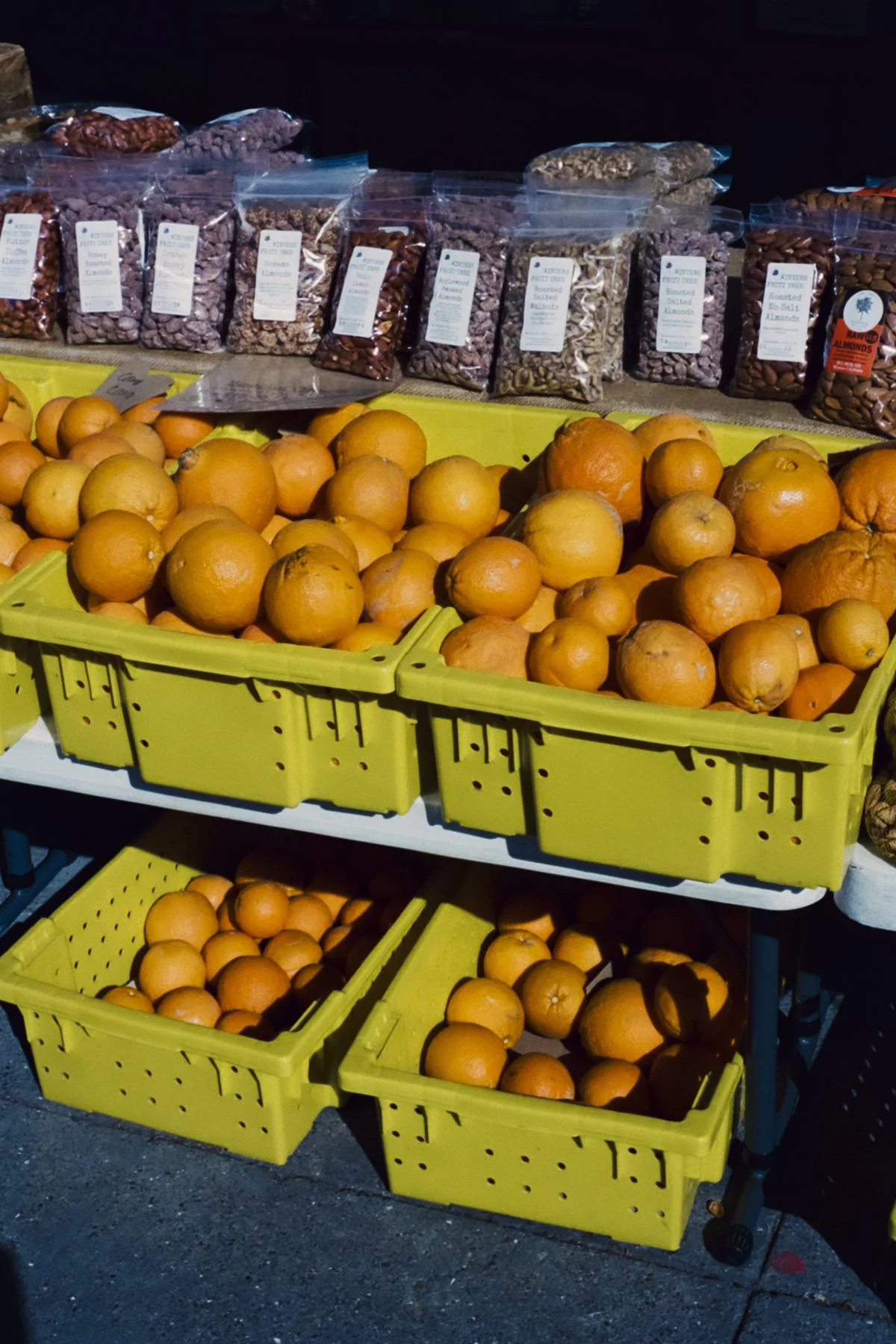 Farmers Market Oranges - Bailie de Lacy.jpg