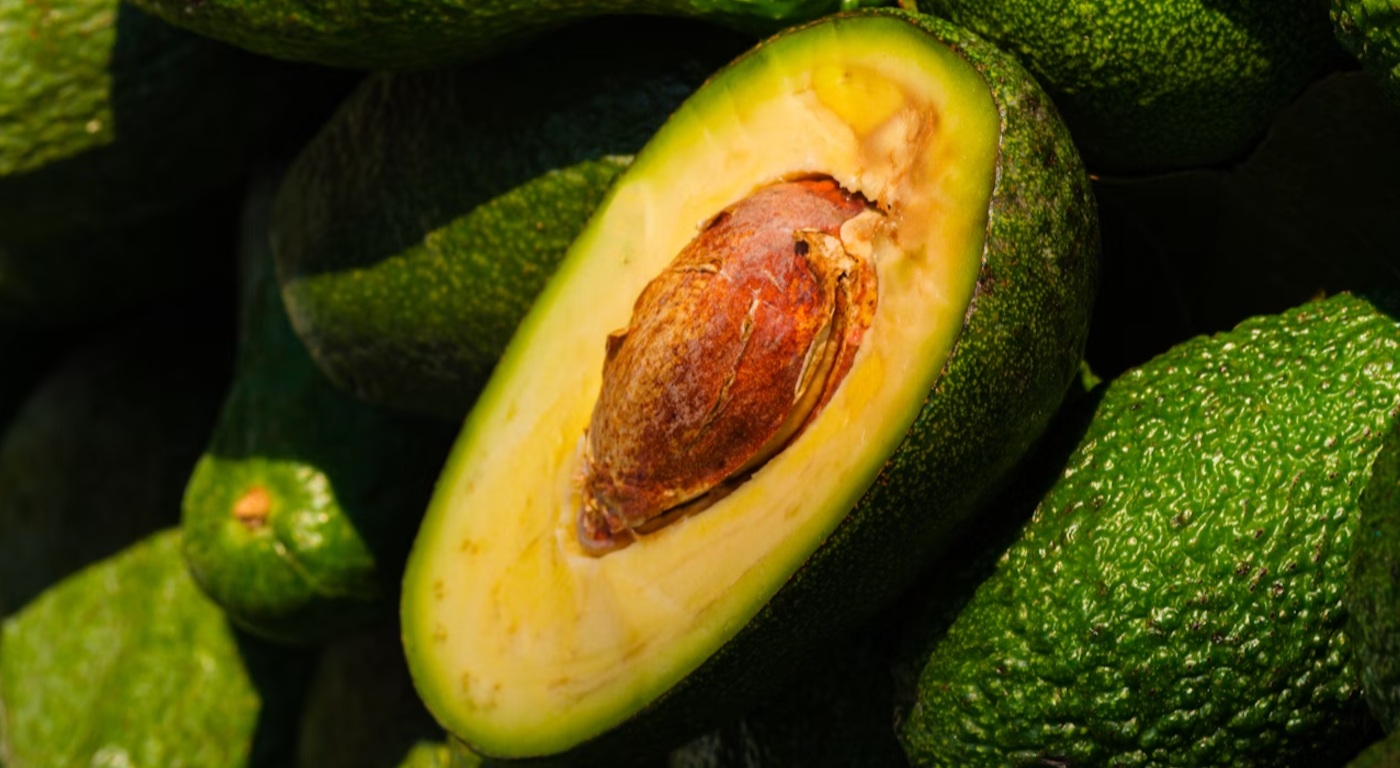 Avocados - The Fatty Fruit That Fights Back