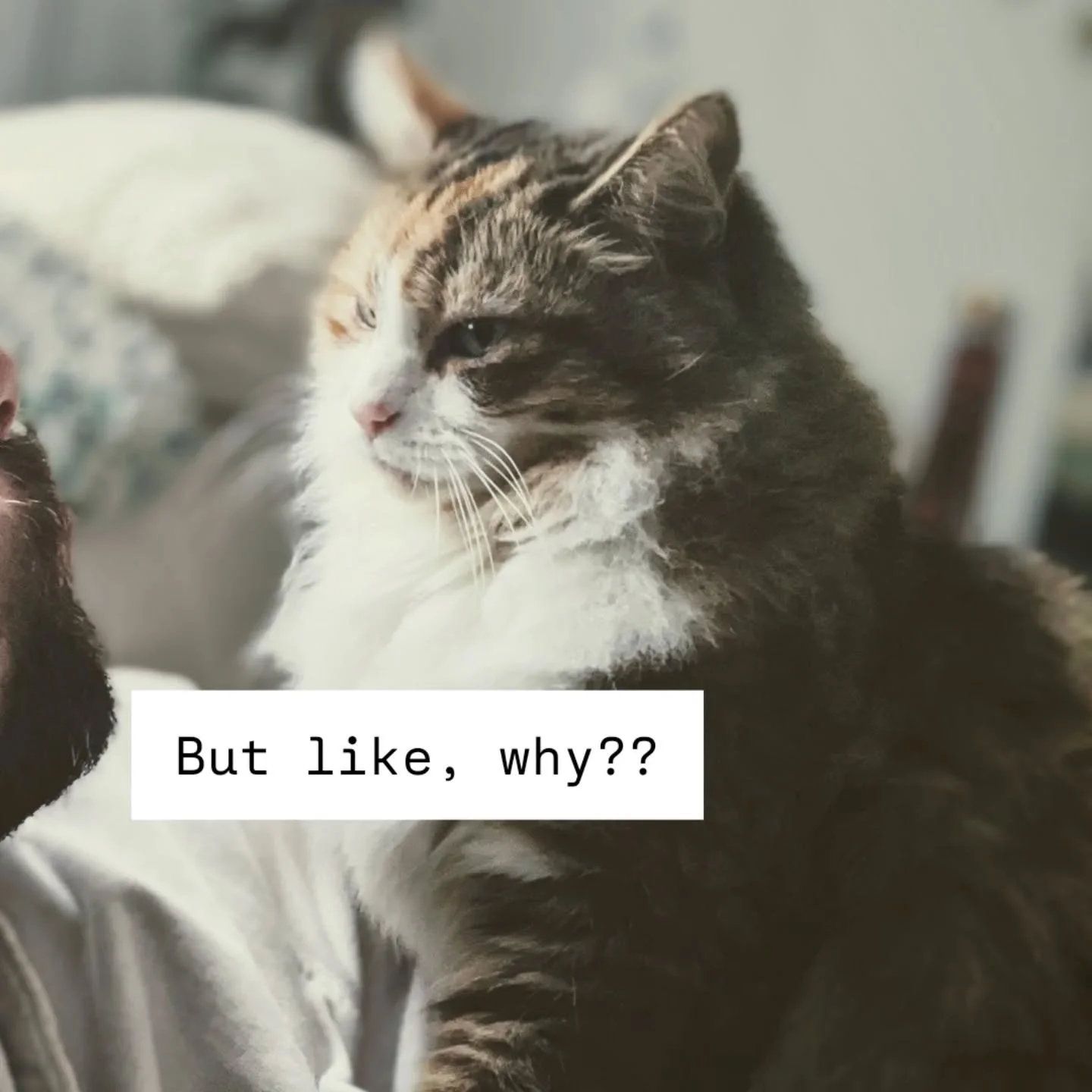 Yes! Why does this even matter?

Our muscles are connected to the systems of the body, digestive being one example. As well as being connected to our mental processes.

When we are presented with health concerns it shows in our muscles. So quite hand