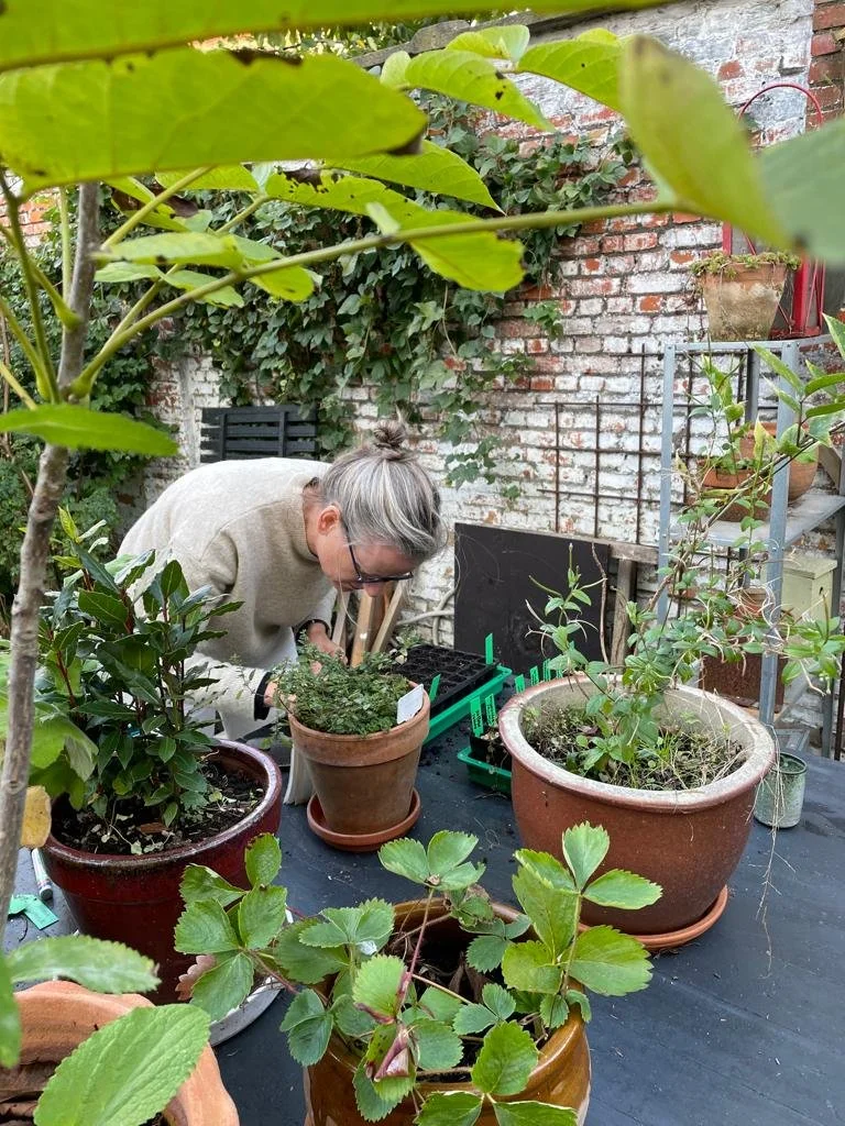our-strange-nature bezig met stekken