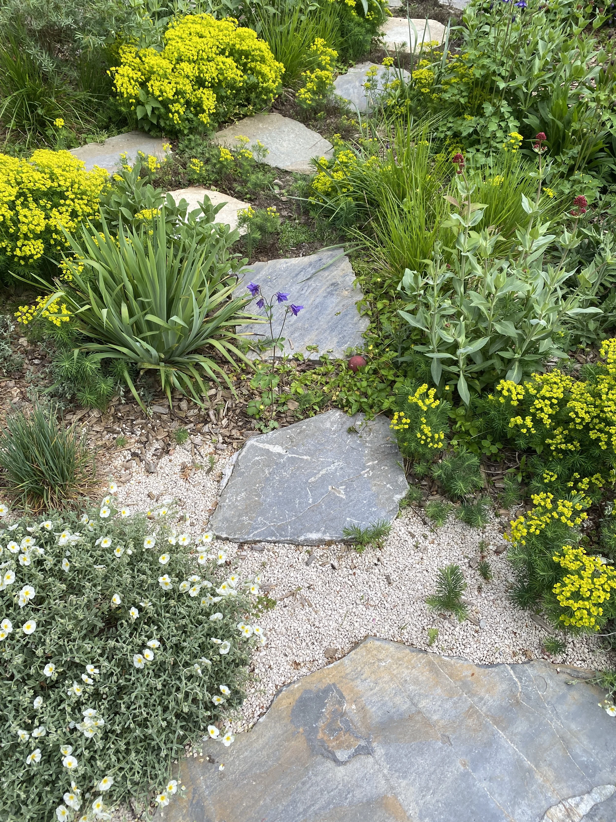 stapstenen en natuurlijke tuin