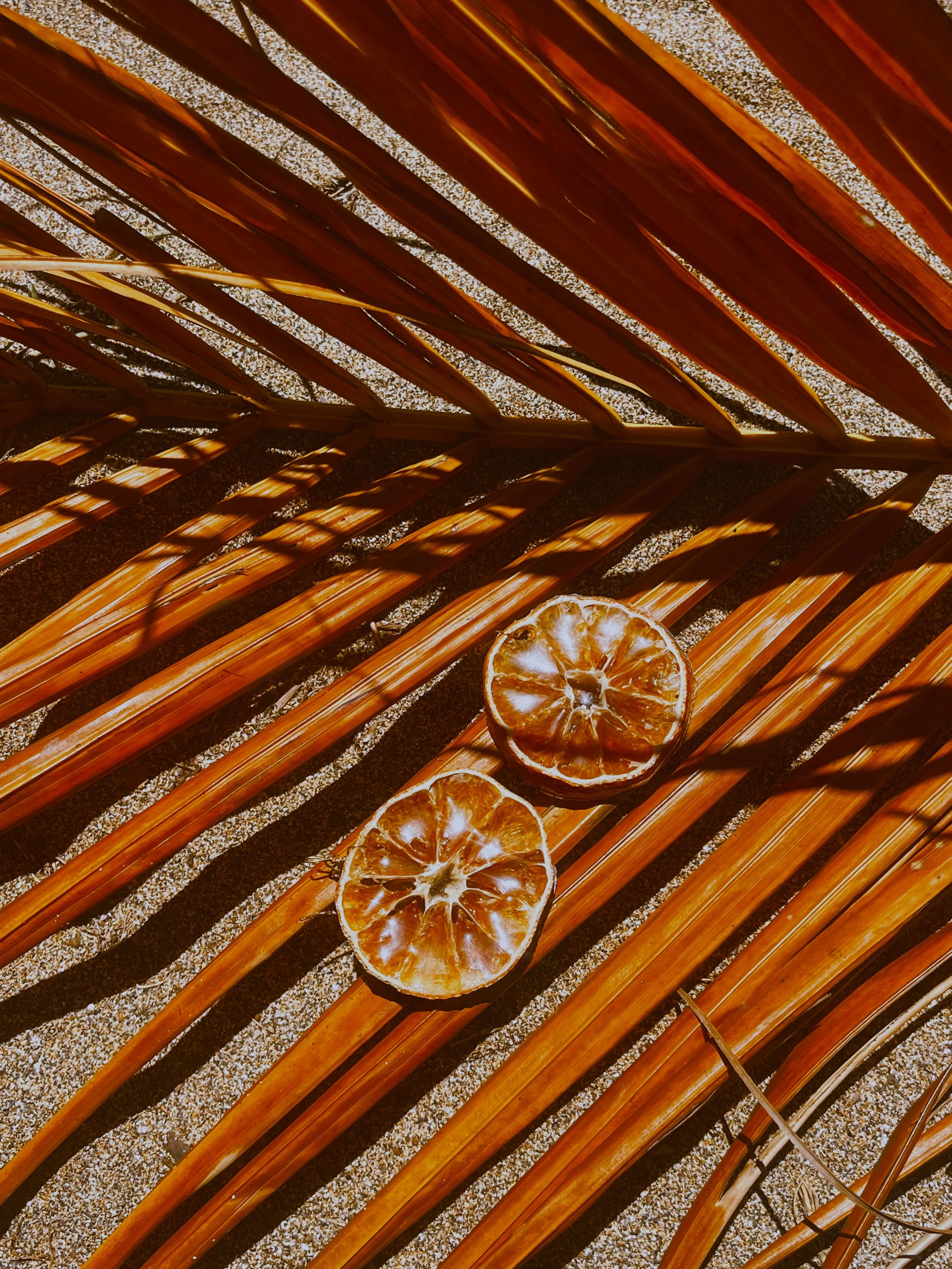 Oranges
