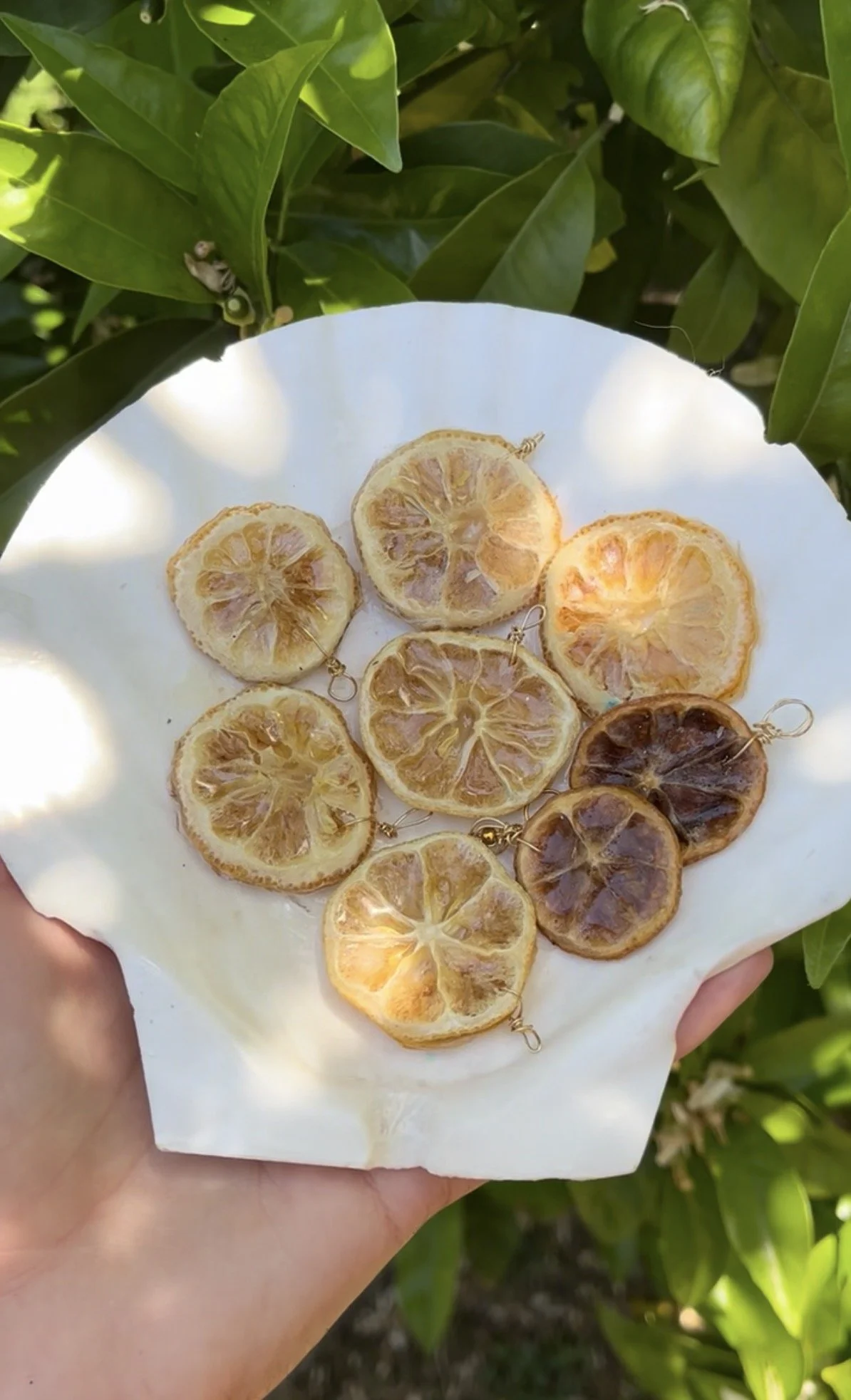 Citrus necklaces