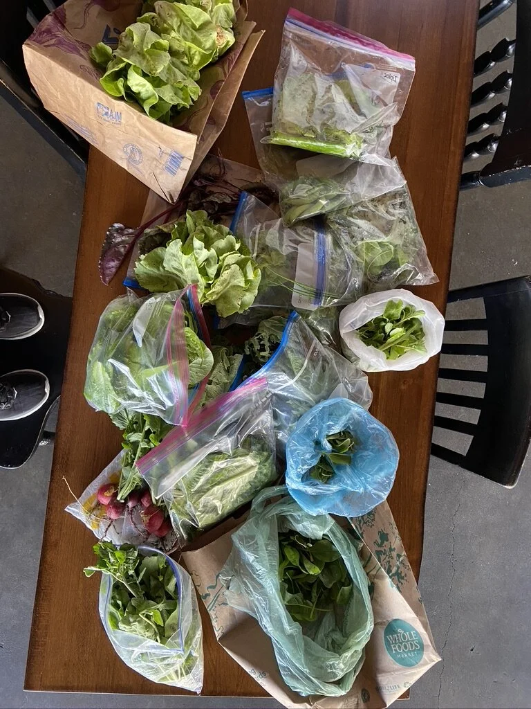 Our first Union Gardens haul!!