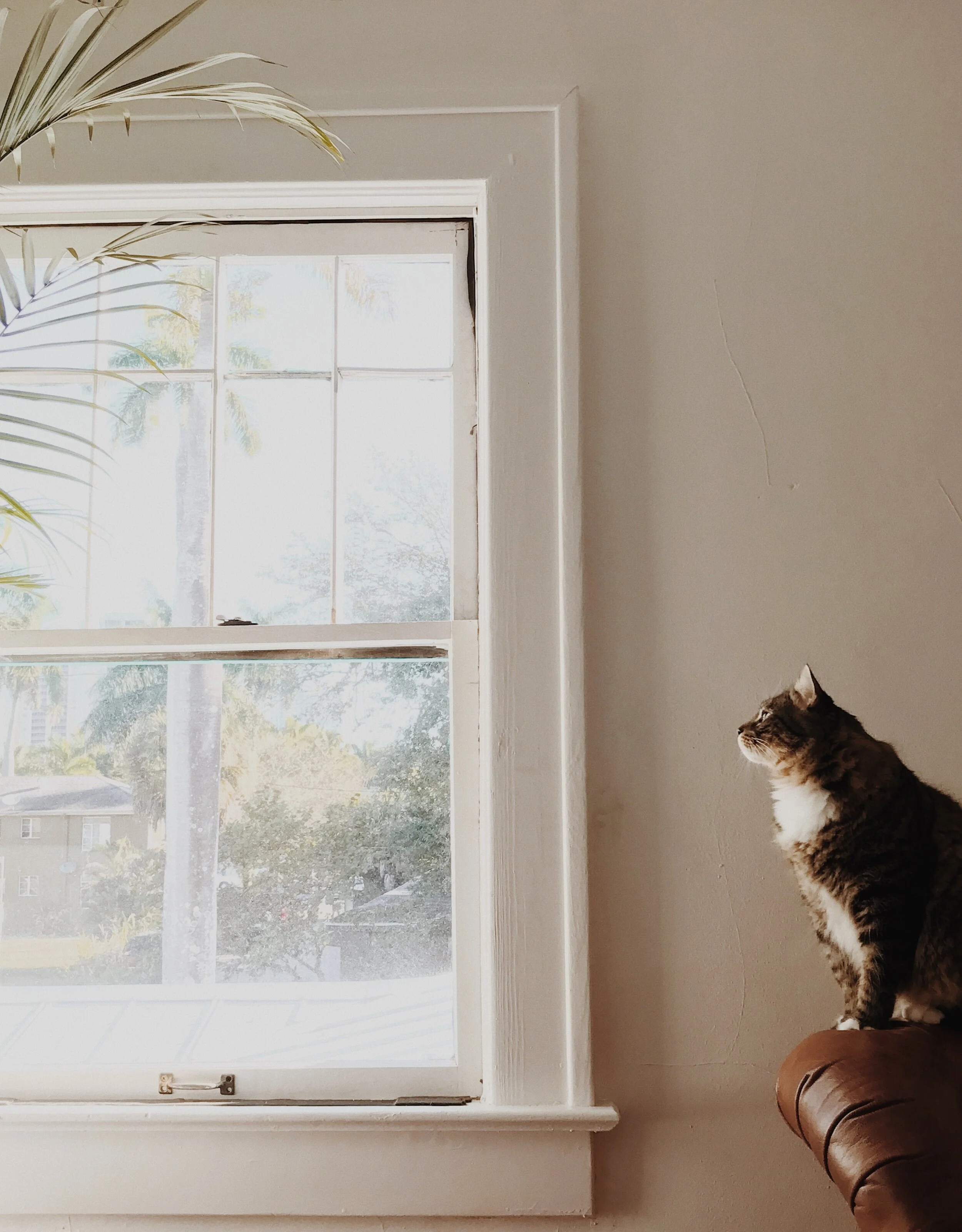 Eco-act 034: taking a Sabbath